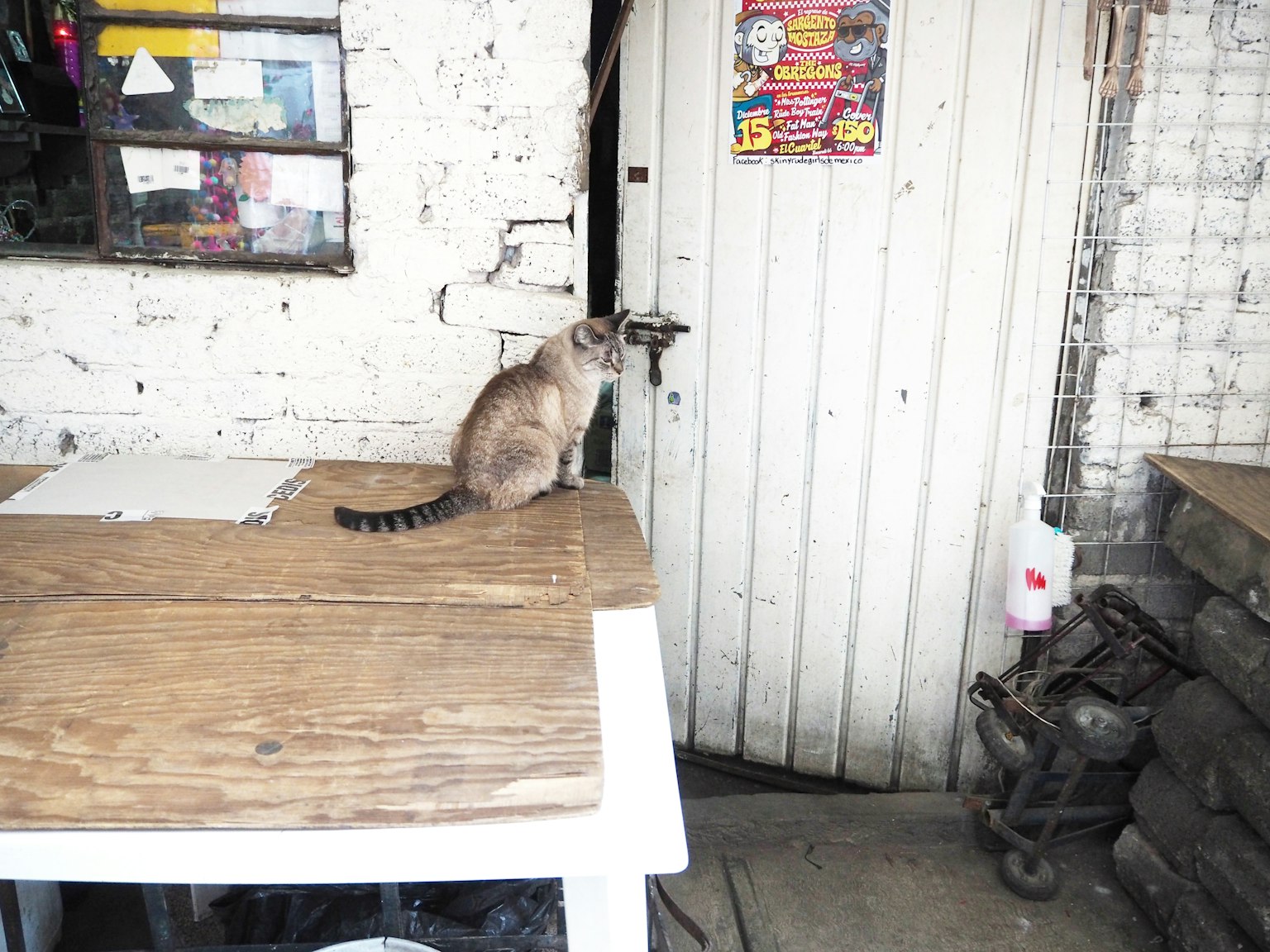 A cat sitting on a wooden table looking towards a door
