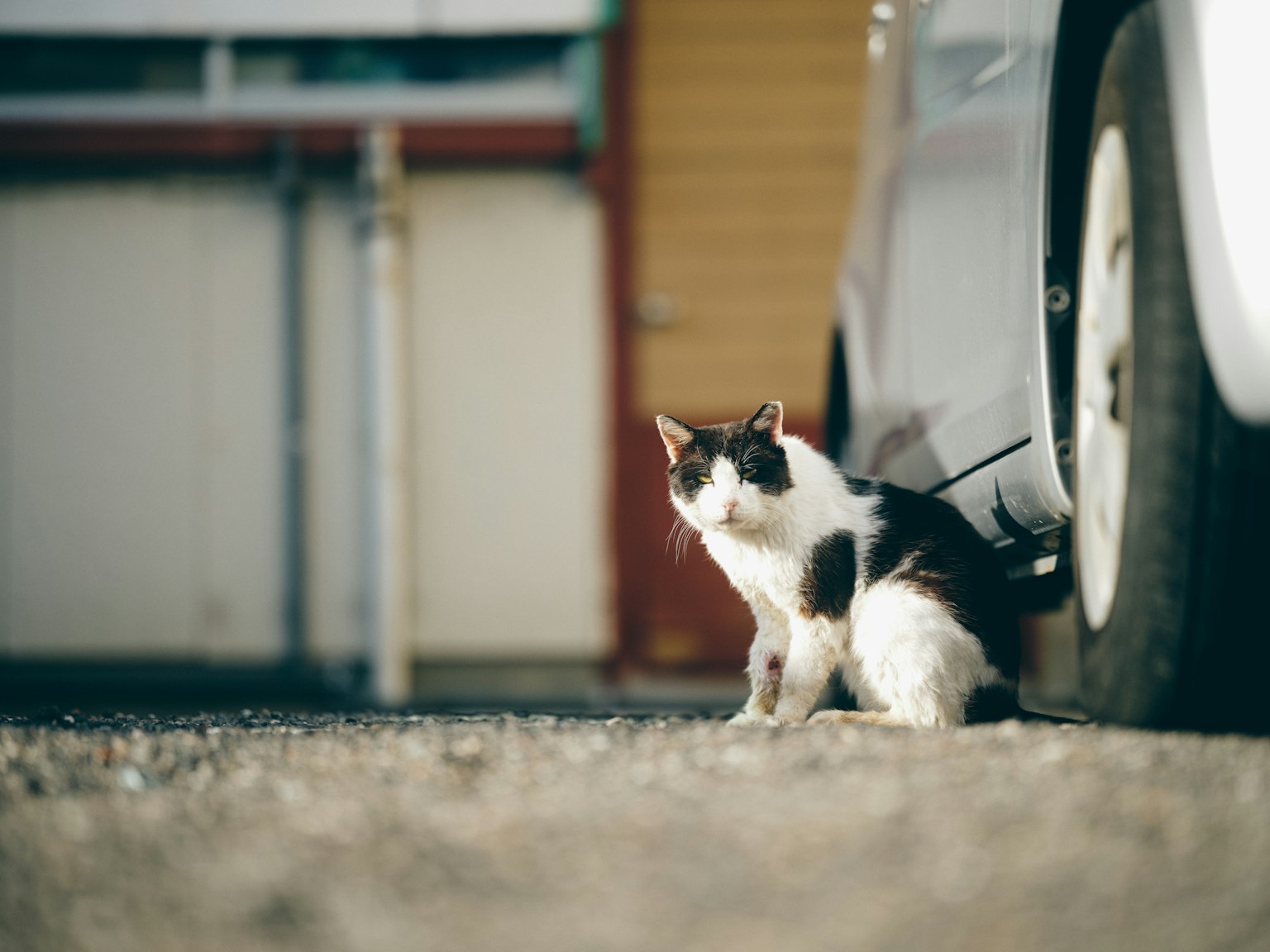 photo-HuC5YBRW6PYr9LR6FjOA-image