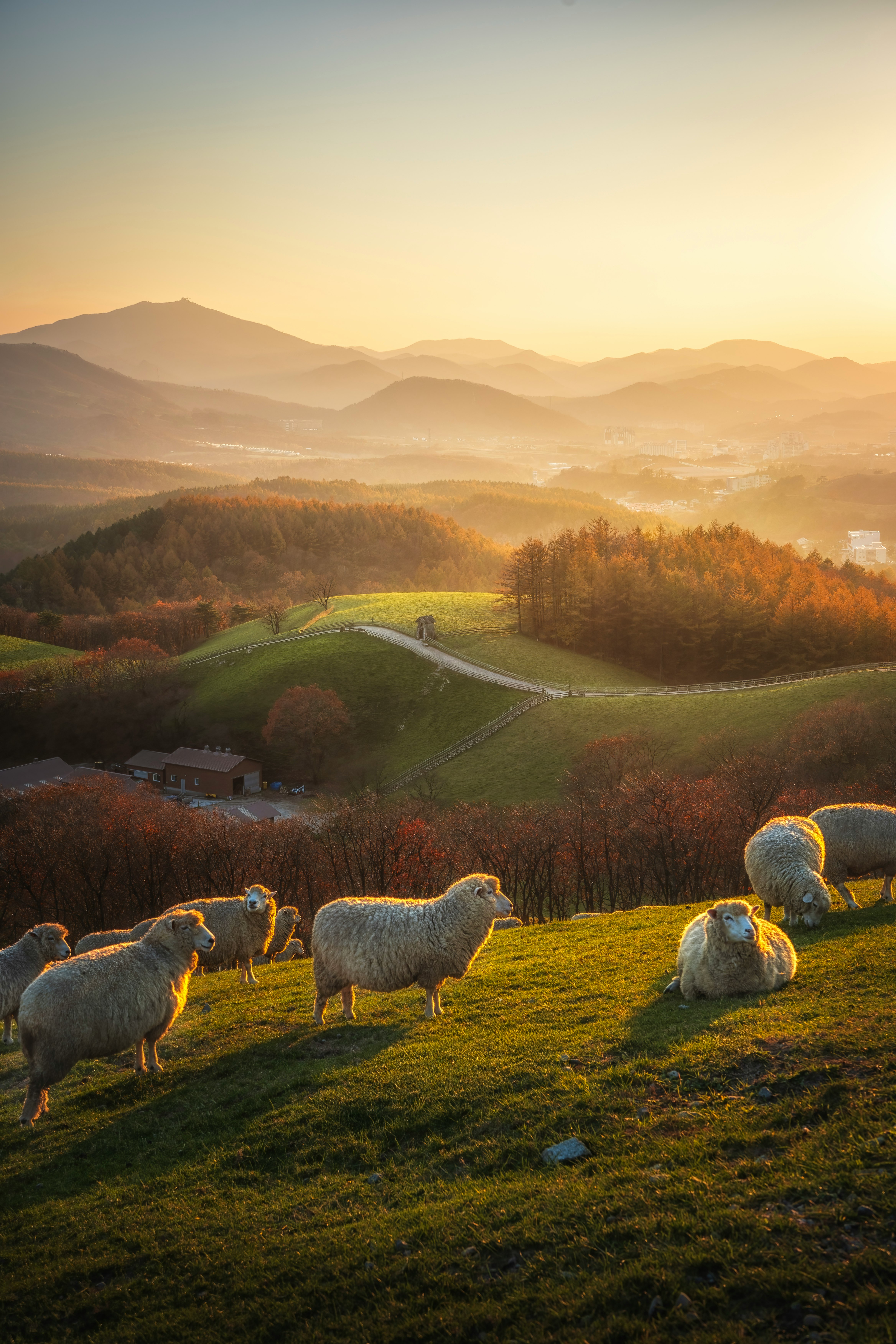 photo-HuaABLQVMSWSWChQMUgh-image