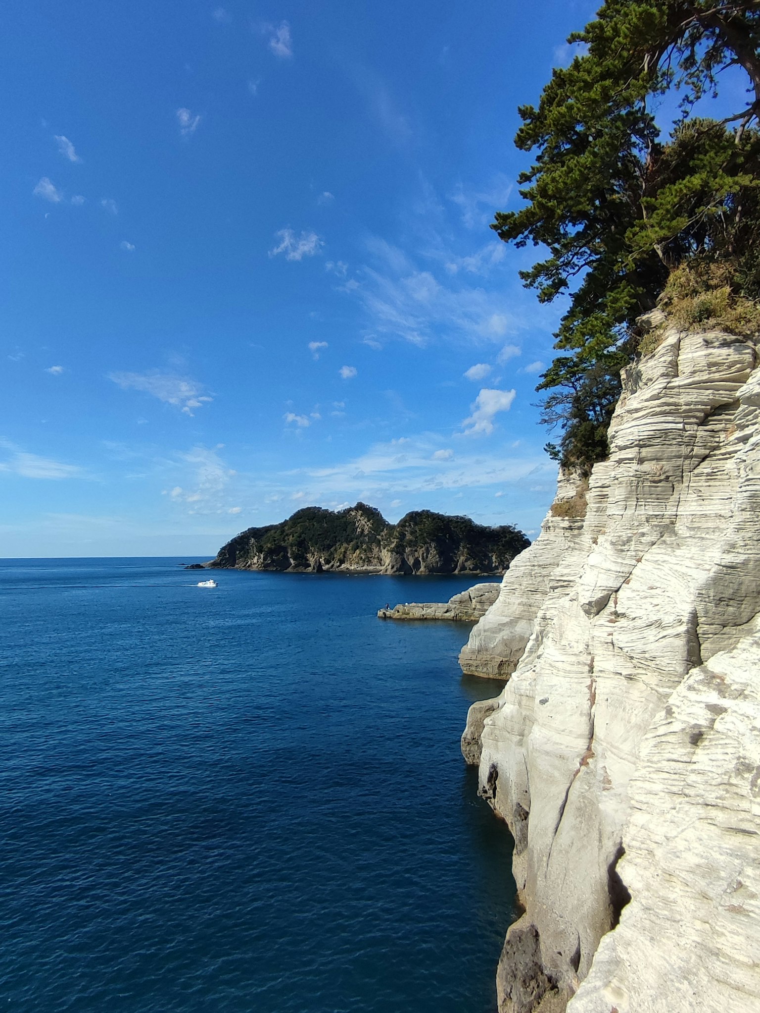 Vista panoramica dell'oceano blu e delle scogliere bianche con vegetazione