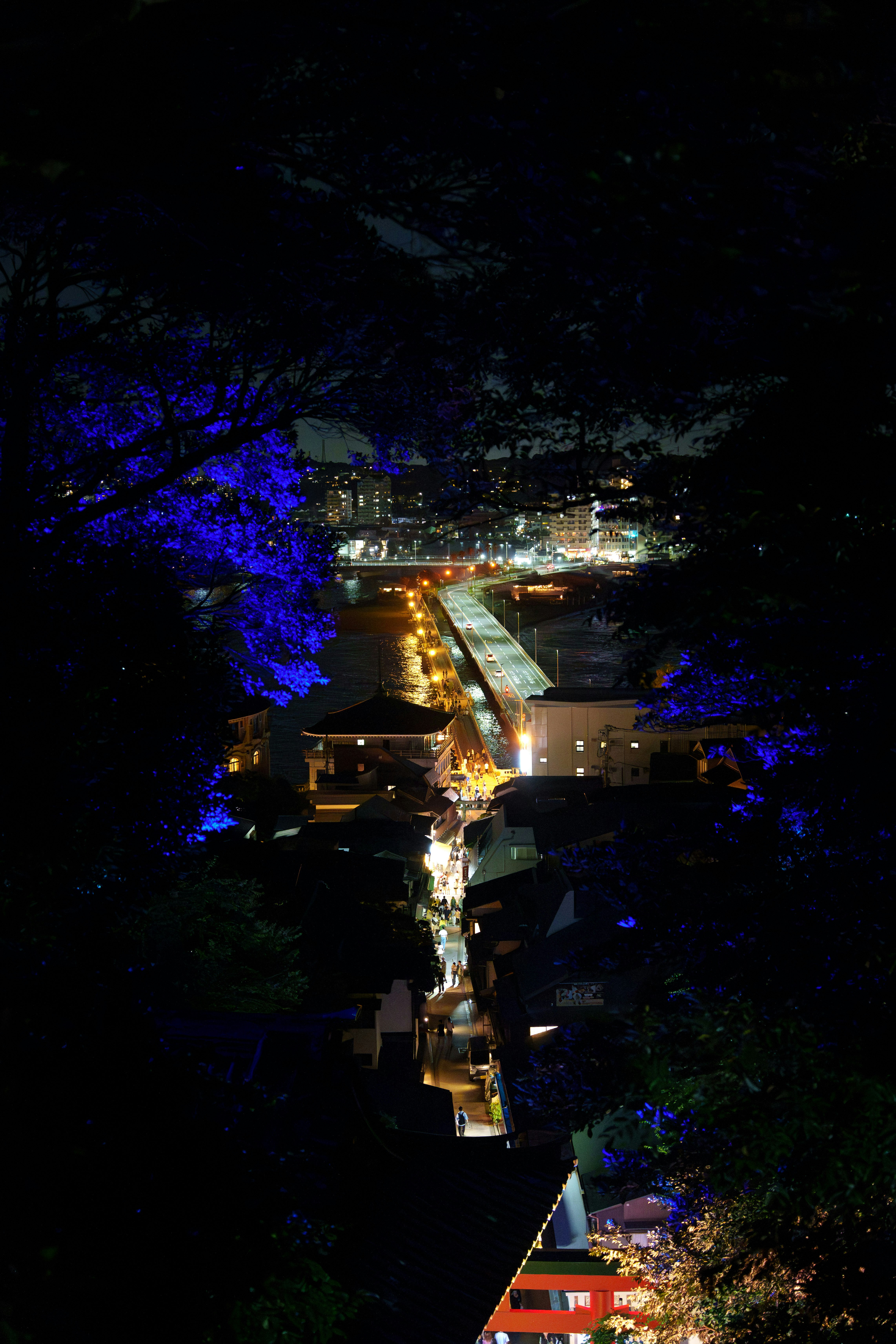 Night view of Enoshima seen through gaps in trees