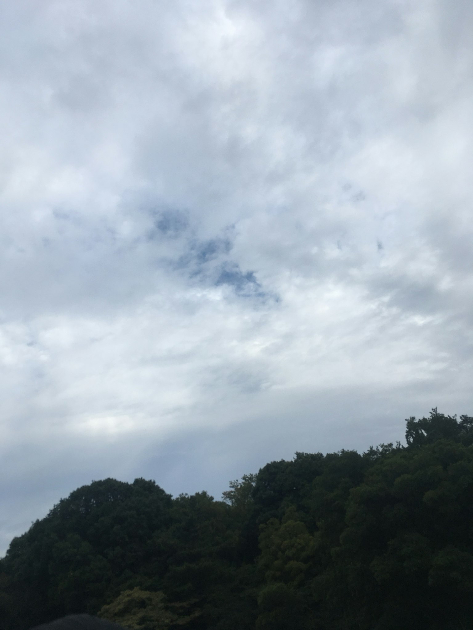 Langit mendung dengan bercak biru dan pohon hijau subur