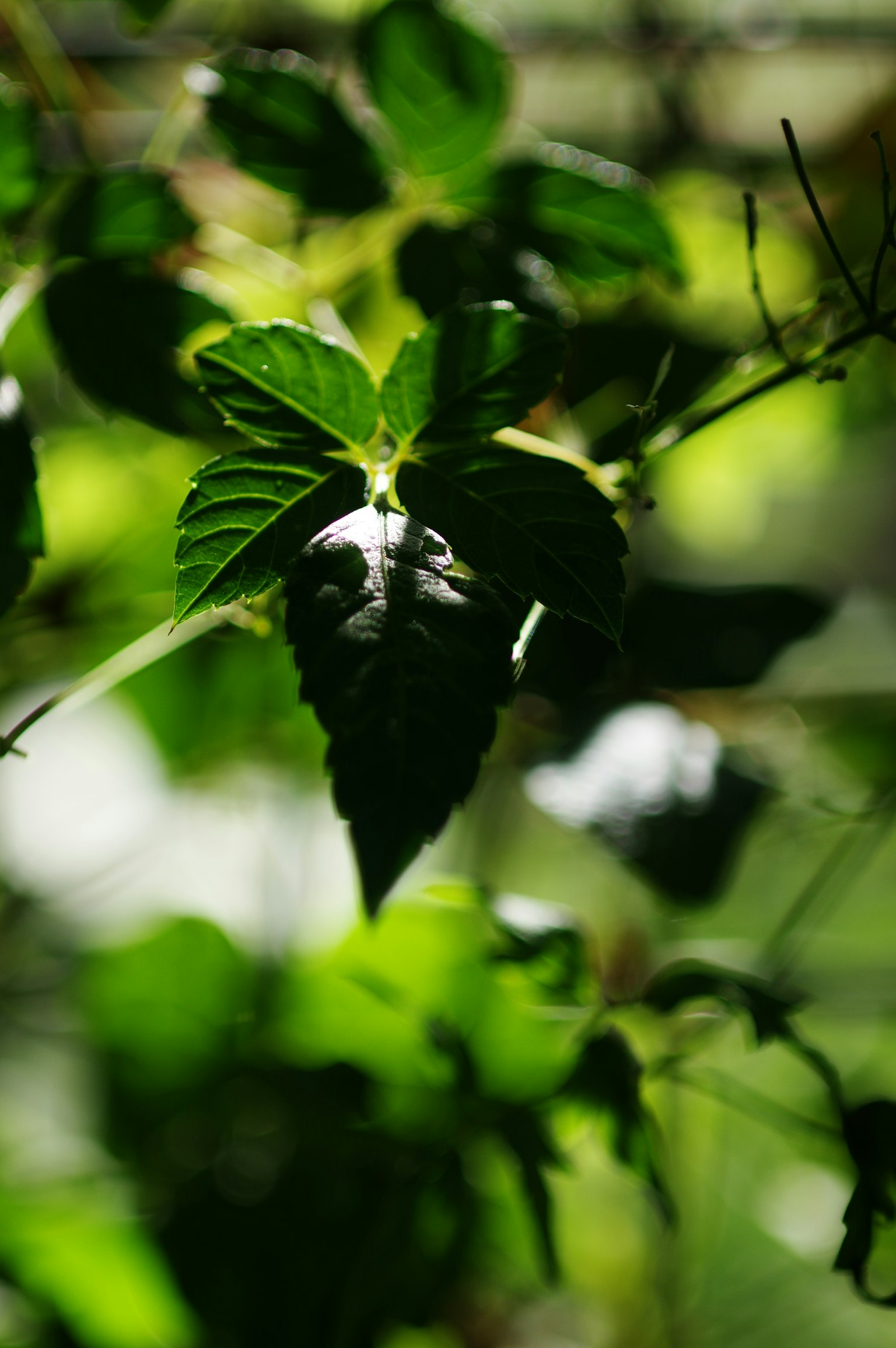 Einfaches Design-Icon auf dunklem Hintergrund