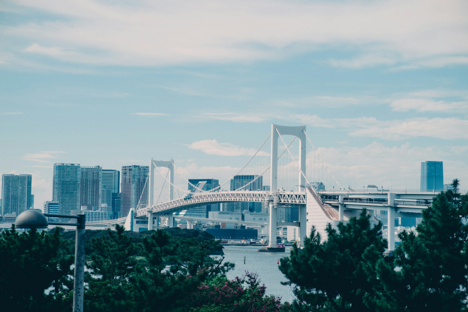View of Rainbow Bridge with Tokyo skyline in the background