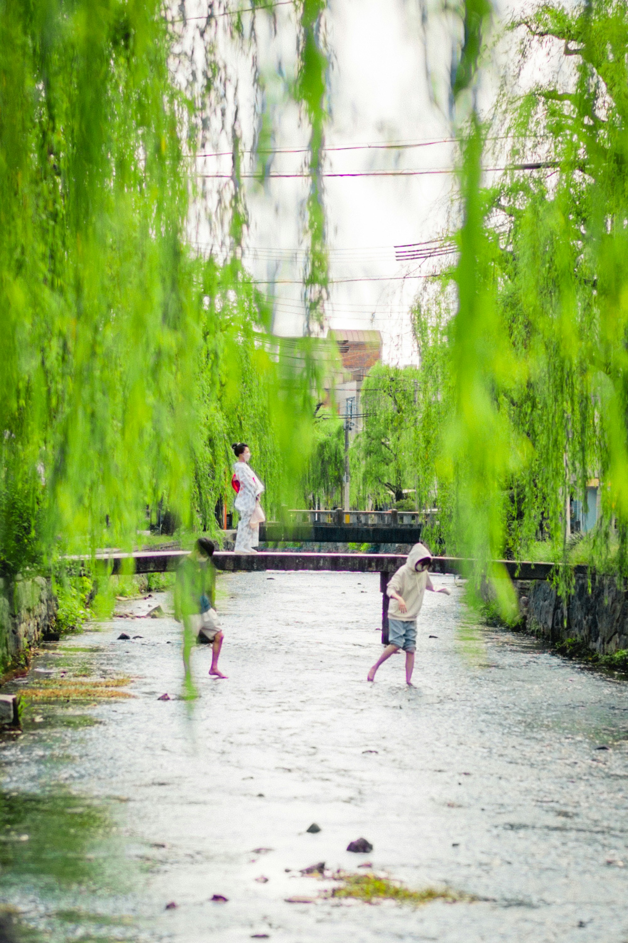 บรรยากาศสวนทางเดินกับต้นวิลโลว์และร่องน้ำ