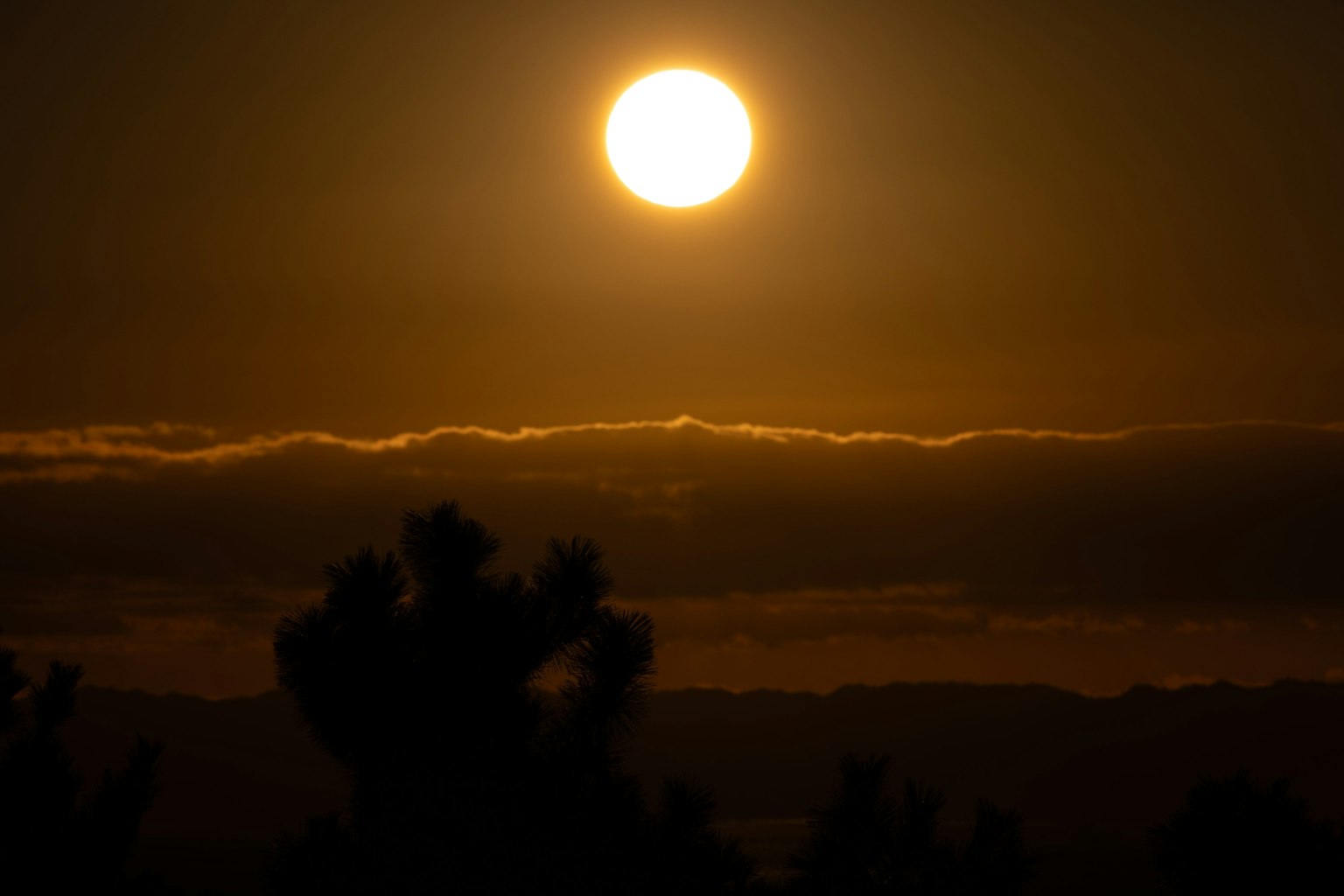 Tramonto con un sole luminoso sopra le nuvole che fa silhouette sugli alberi