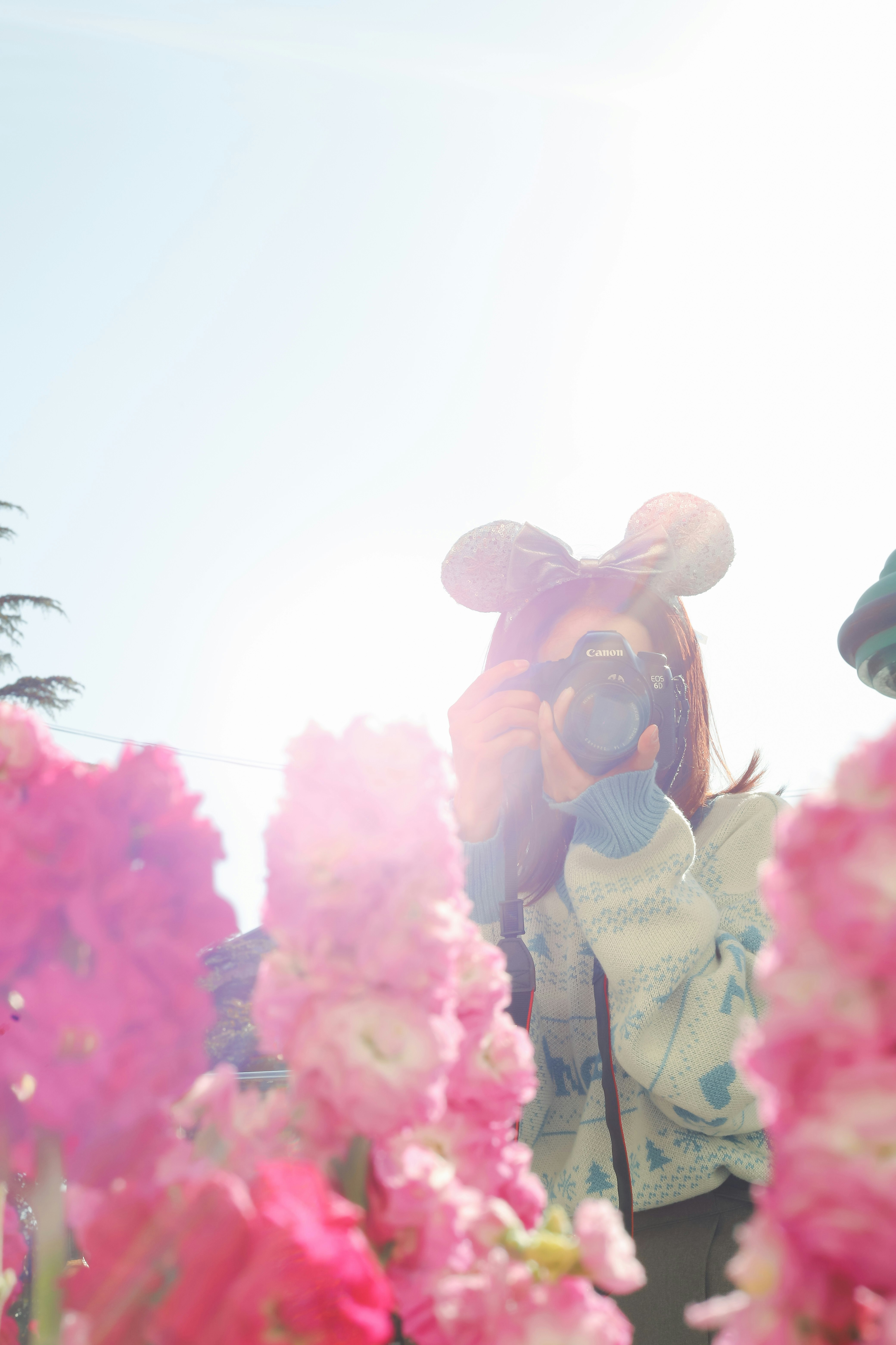 ピンクの花に囲まれたディズニーシーのフォトスポットでカメラを構える2人