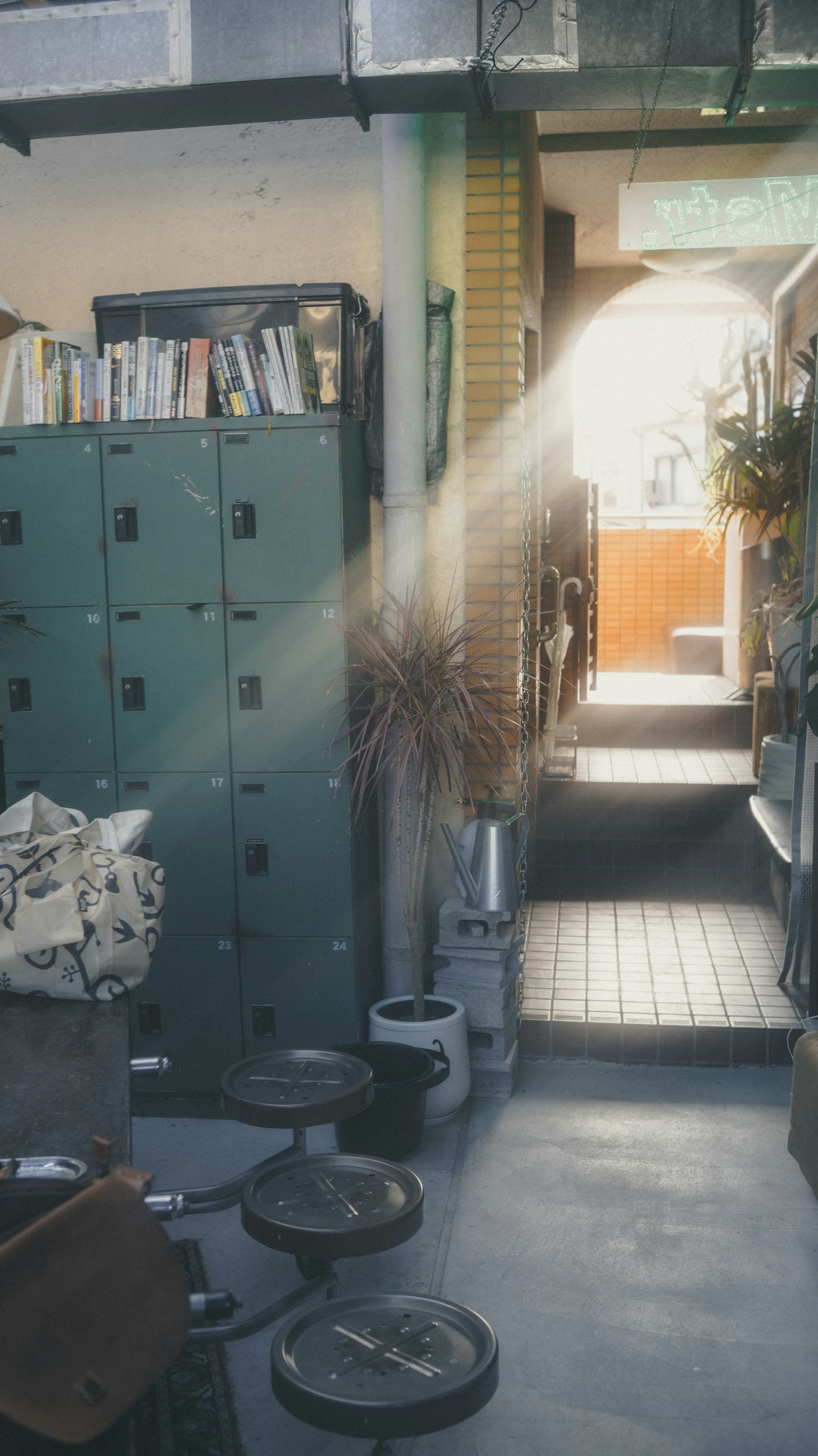 明るい光が差し込む室内の廊下 緑のロッカーと植物が並ぶ