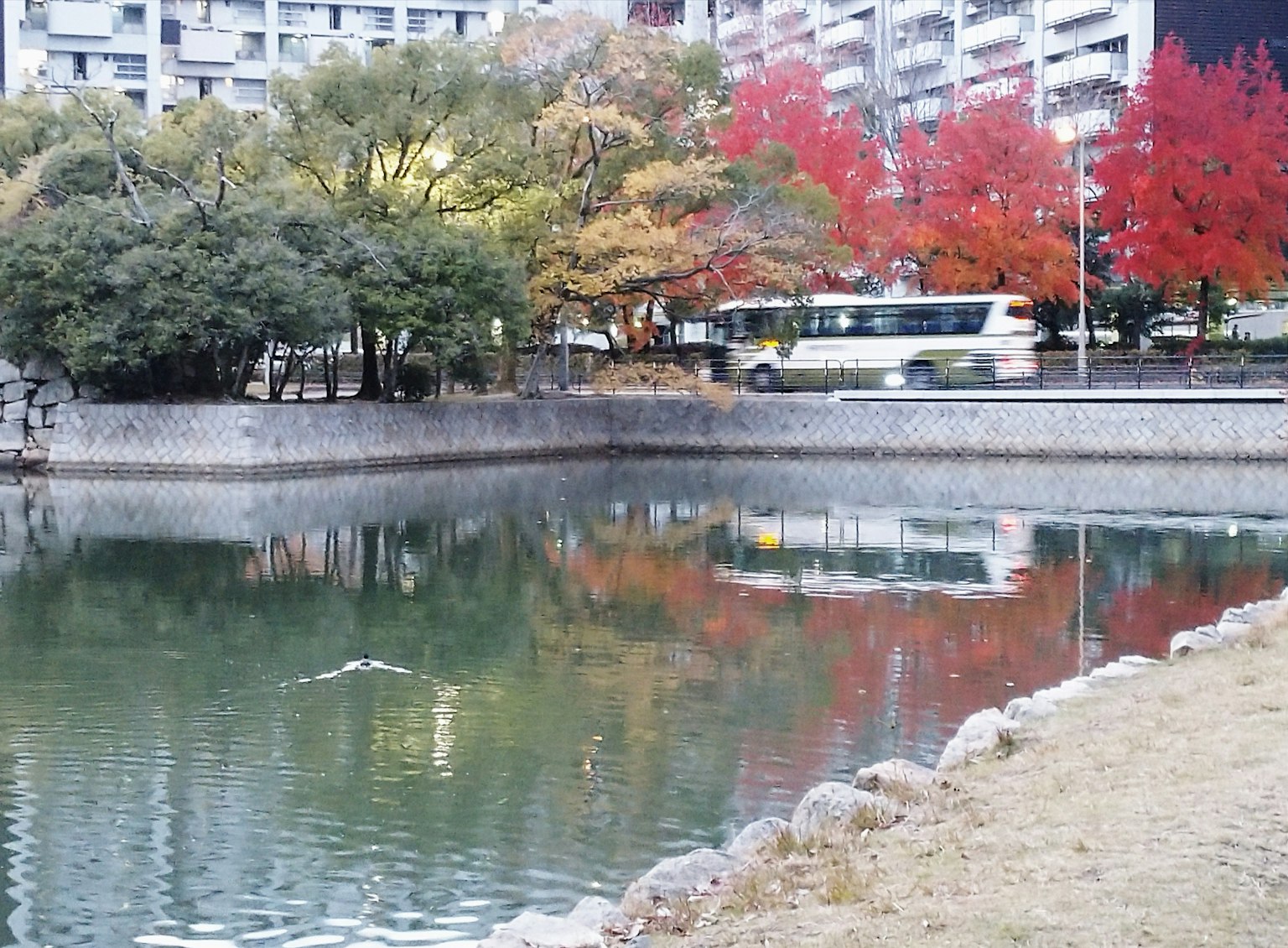 Vista escénica de un estanque del parque reflejando el follaje de otoño