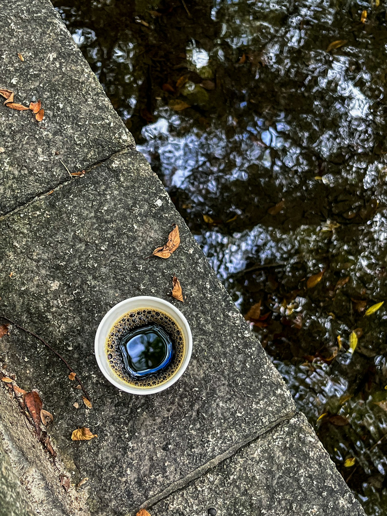 水边放着的咖啡杯和周围石头的倒影