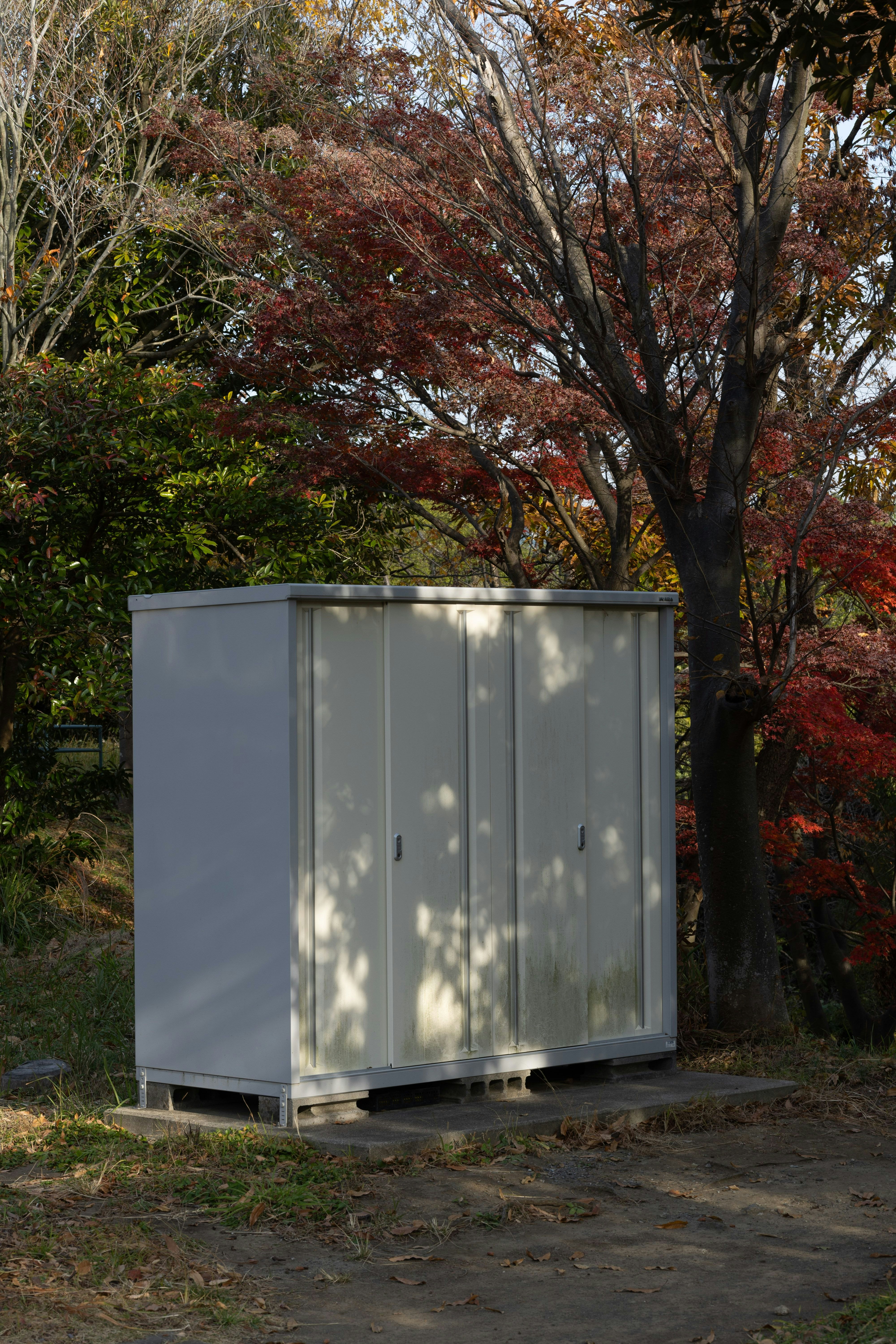 紅葉の並木のそばに置かれた金属製の物置小屋