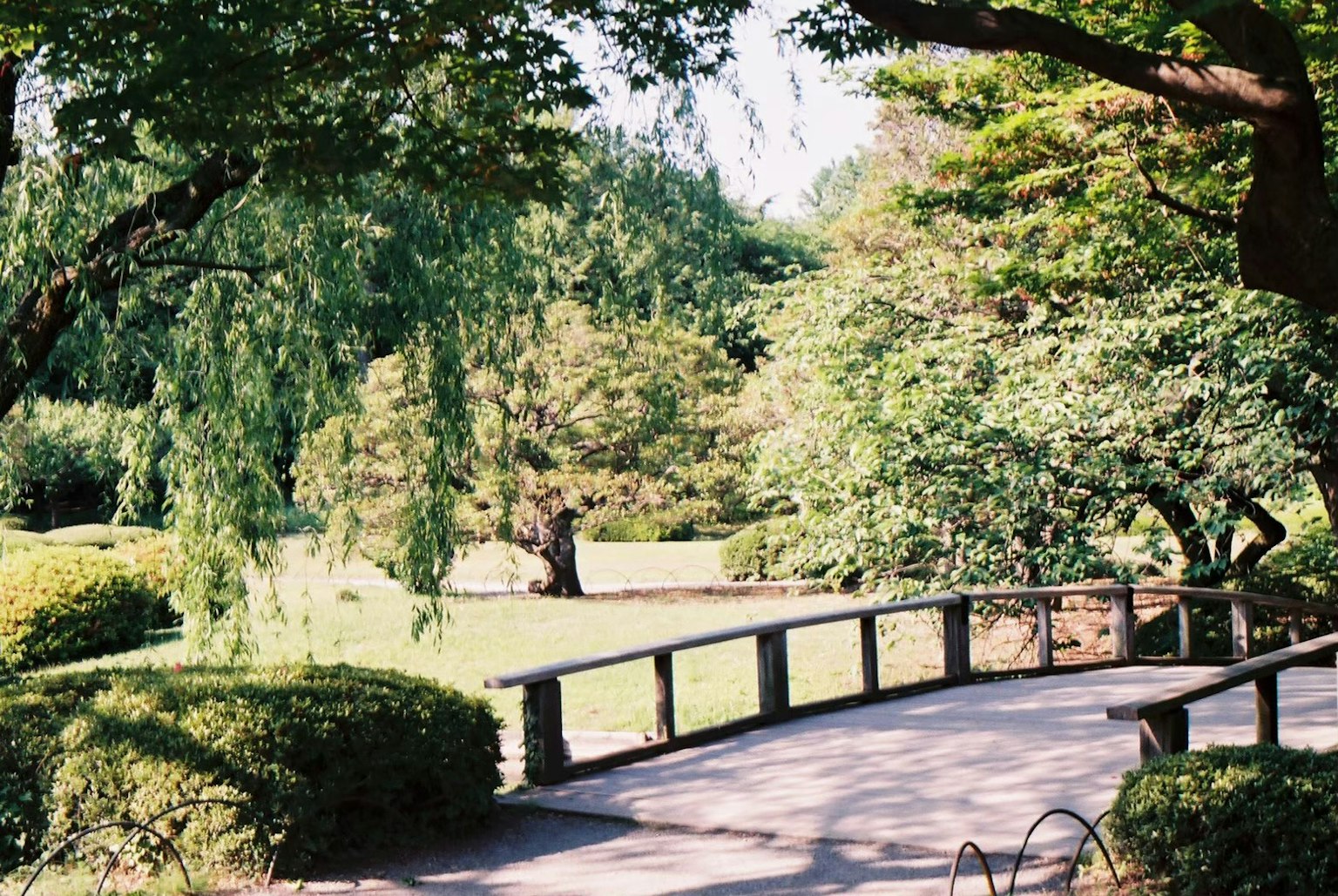 Paysage de parc verdoyant avec un chemin sinueux