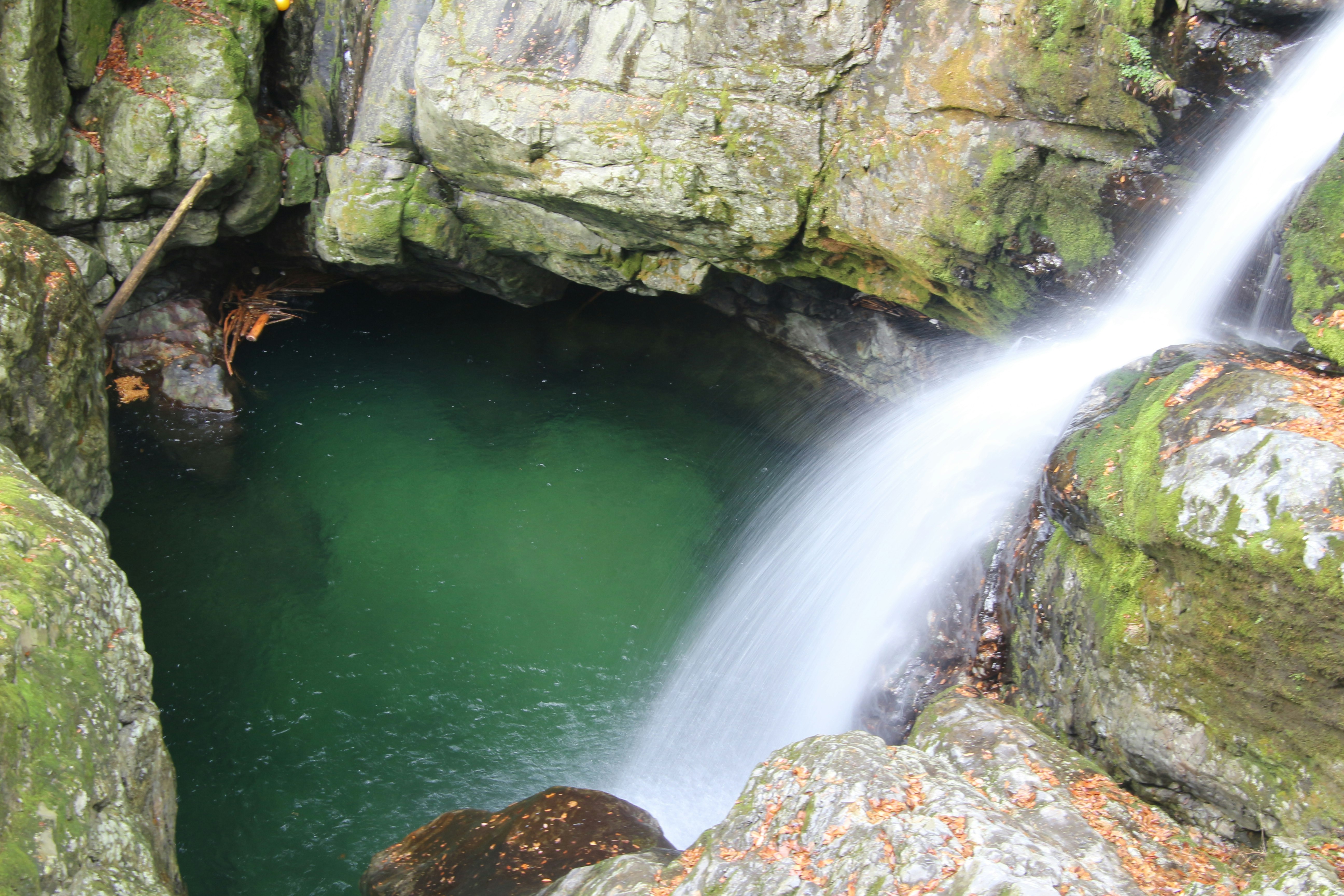 pequeña cascada en un desfiladero rocoso con un estanque verde