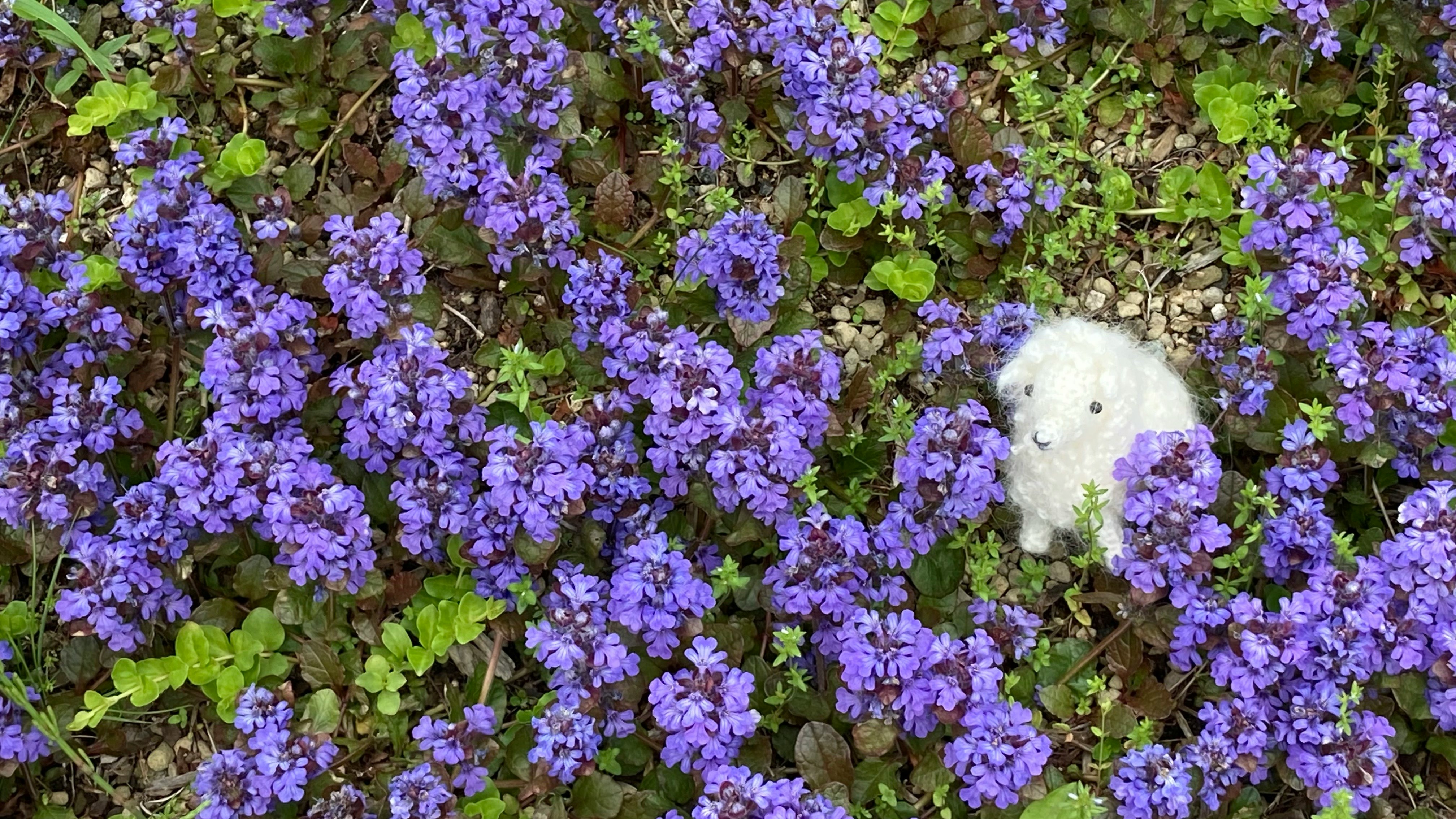 六甲山ガーデンテラスの花壇にいる羊のぬいぐるみ