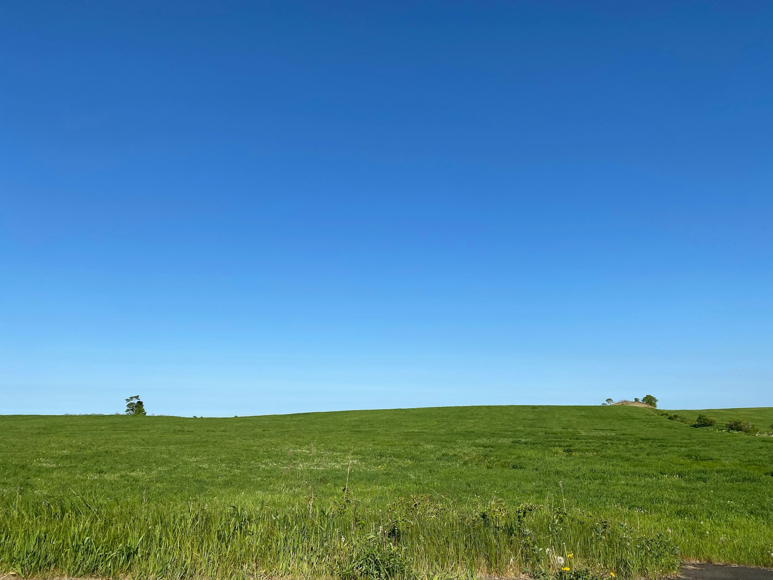 photo-HyvfVSCdEFPkXT05IAv5-image