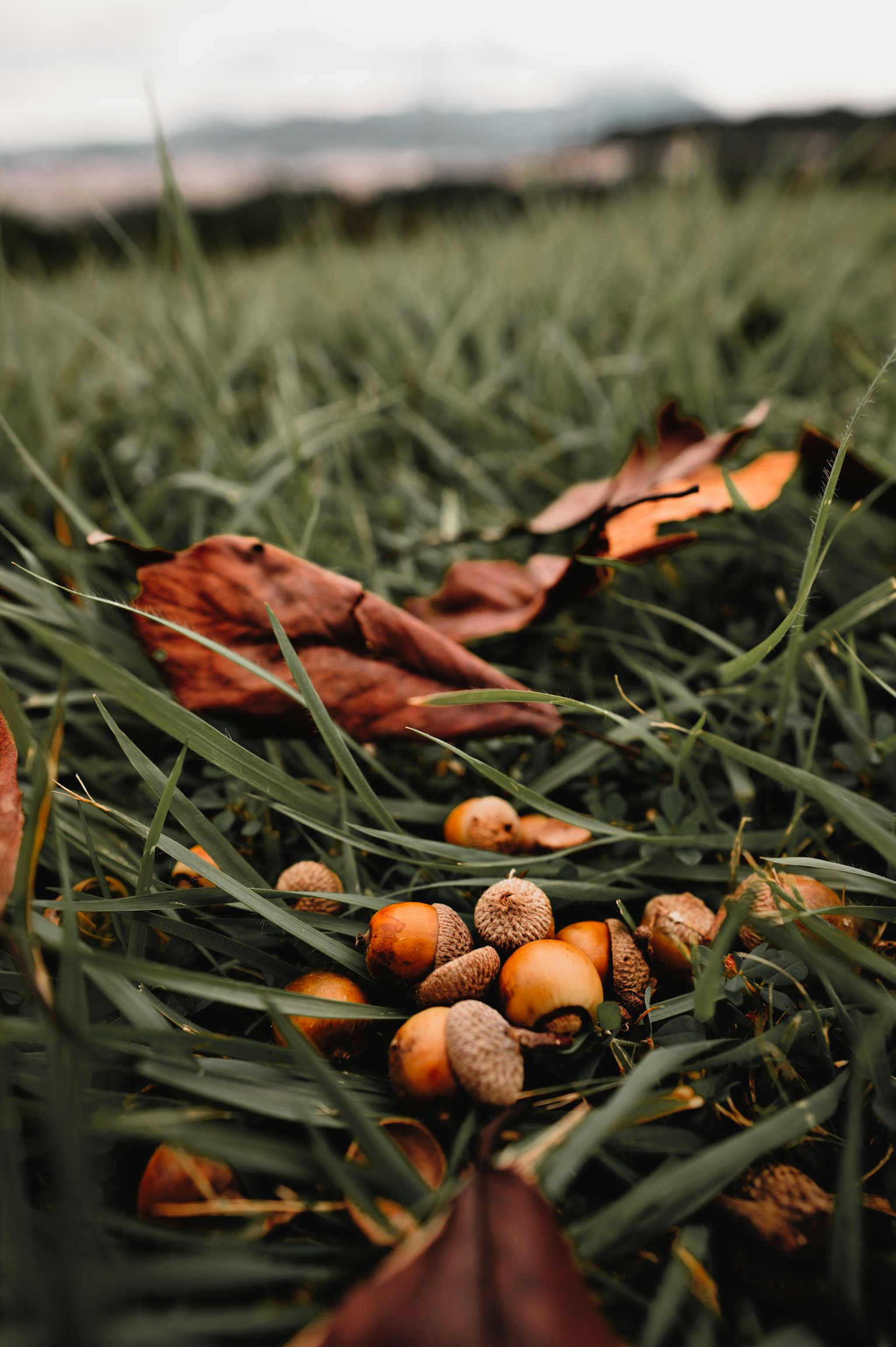 photo-Hyvpe9ynaP3qeMHQRSSF-image