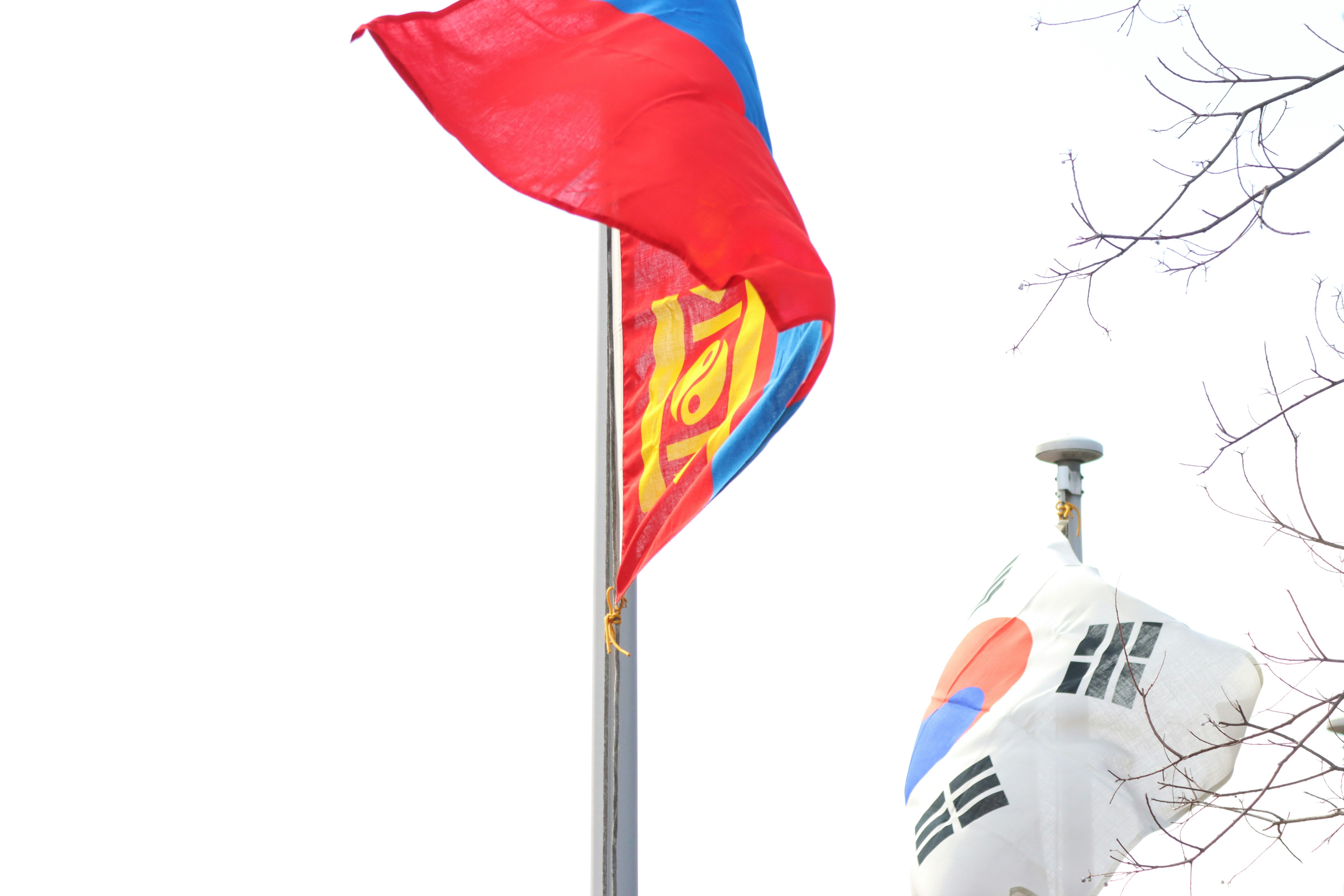 Cờ đỏ và thân máy bay màu trắng ngoài trời