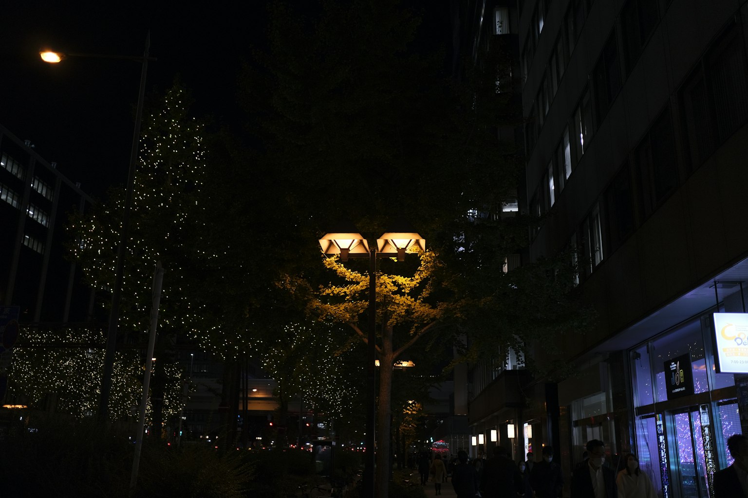 ต้นไม้ที่มีไฟประดับในสภาพแวดล้อมเมืองในเวลากลางคืน