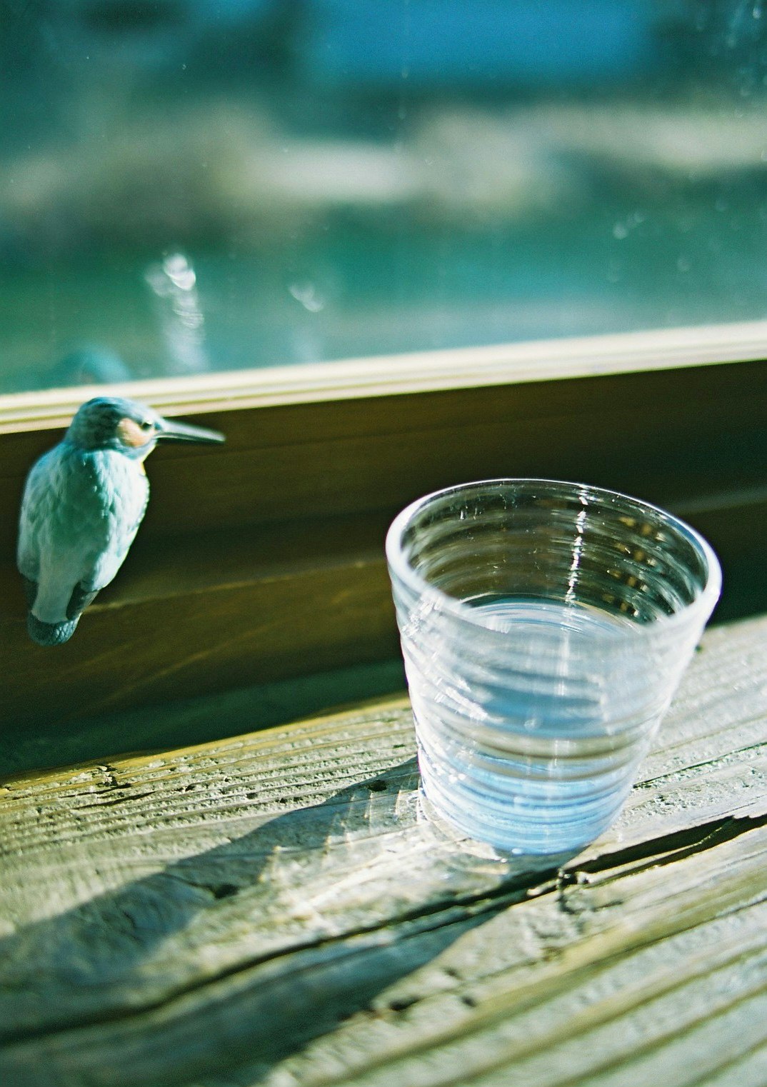 Tazza d’acqua su un pontile di legno vicino all’acqua con un uccello