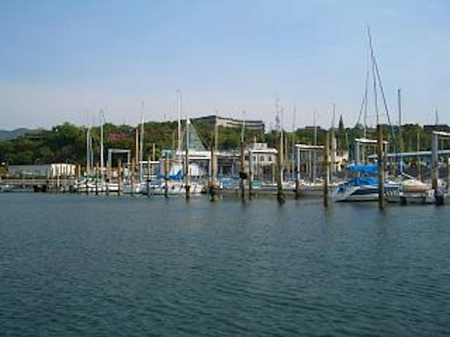 View of yachts docked at a marina on a calm day
