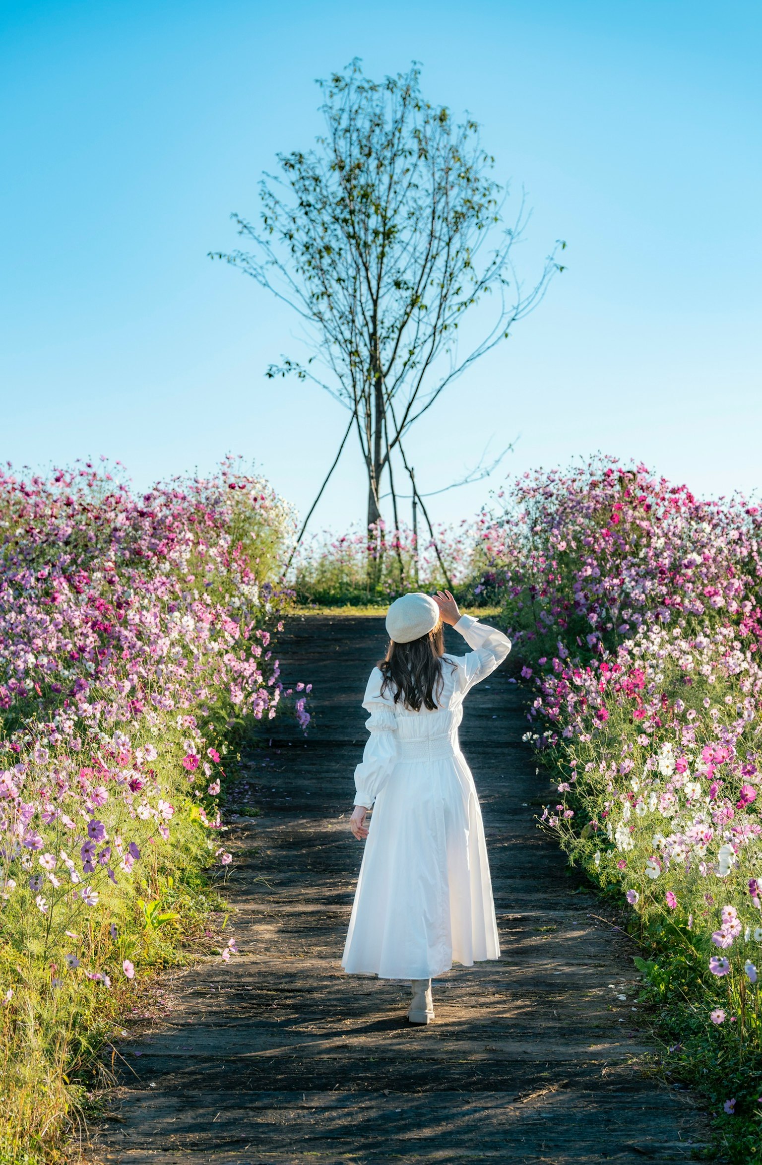 白いドレスを着た女性が花に囲まれた小道を歩いている