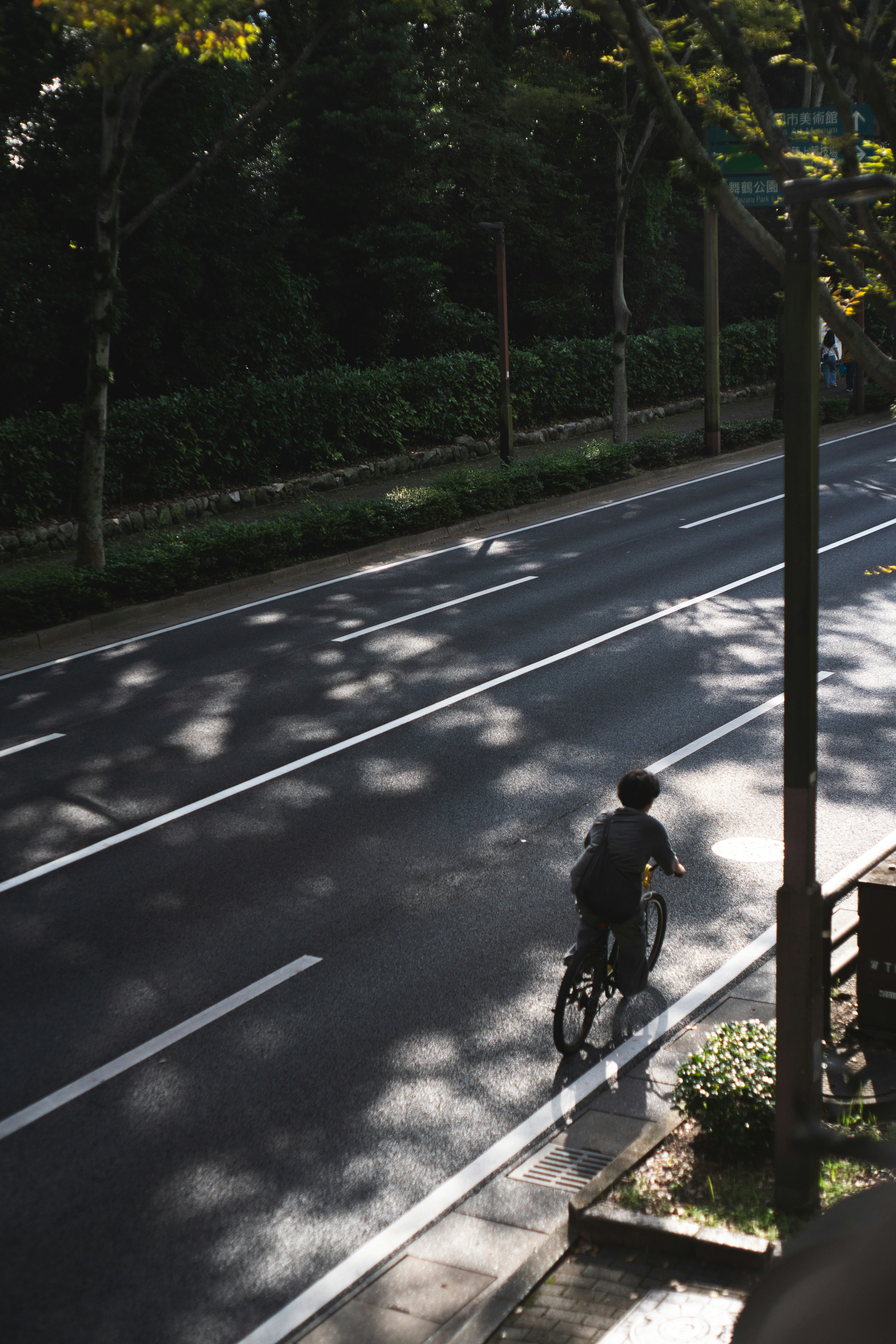自転車に乗る人が影のある道路を走っている風景