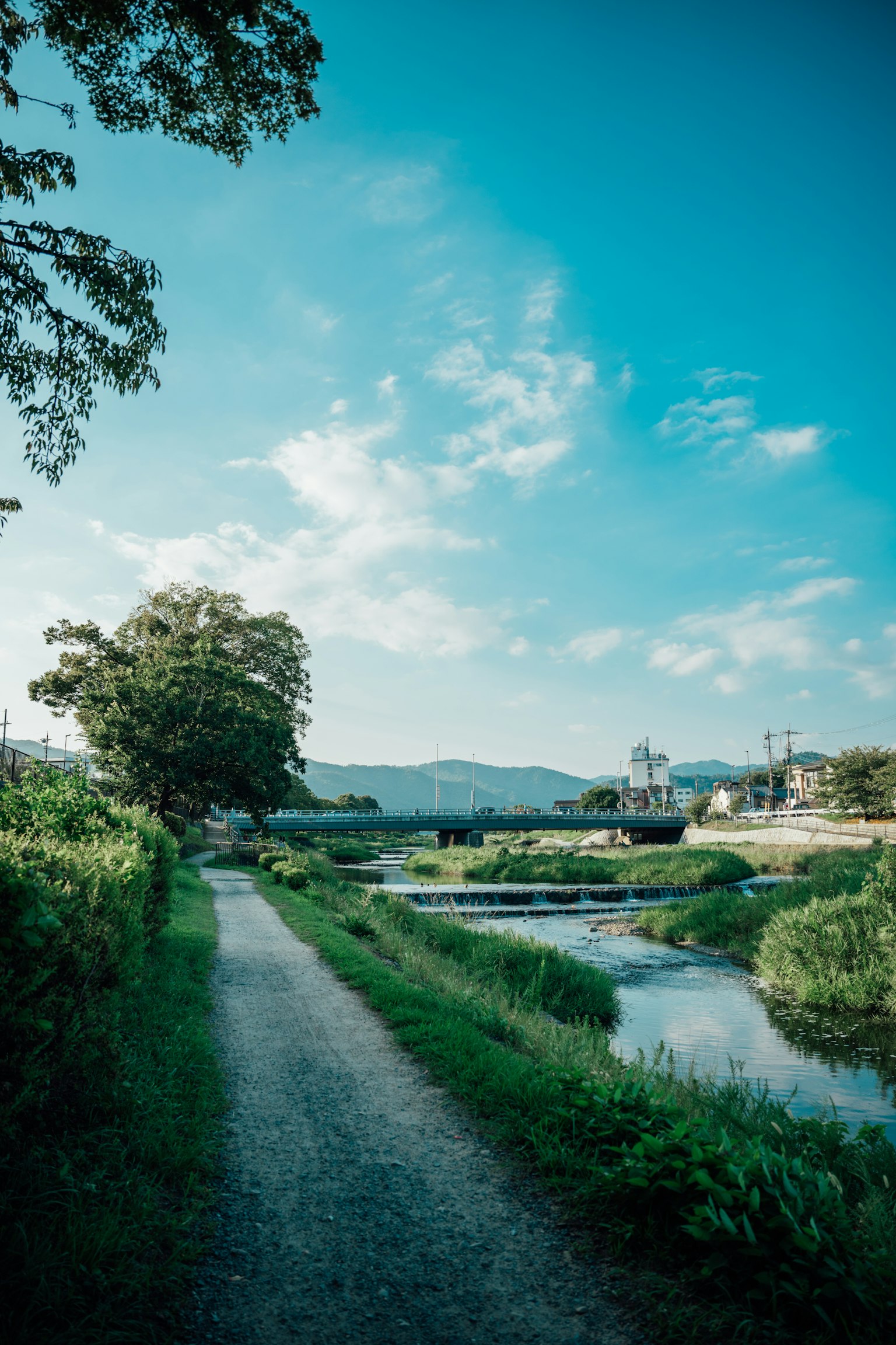 青空の下に広がる川沿いの小道 緑の草木と山の背景