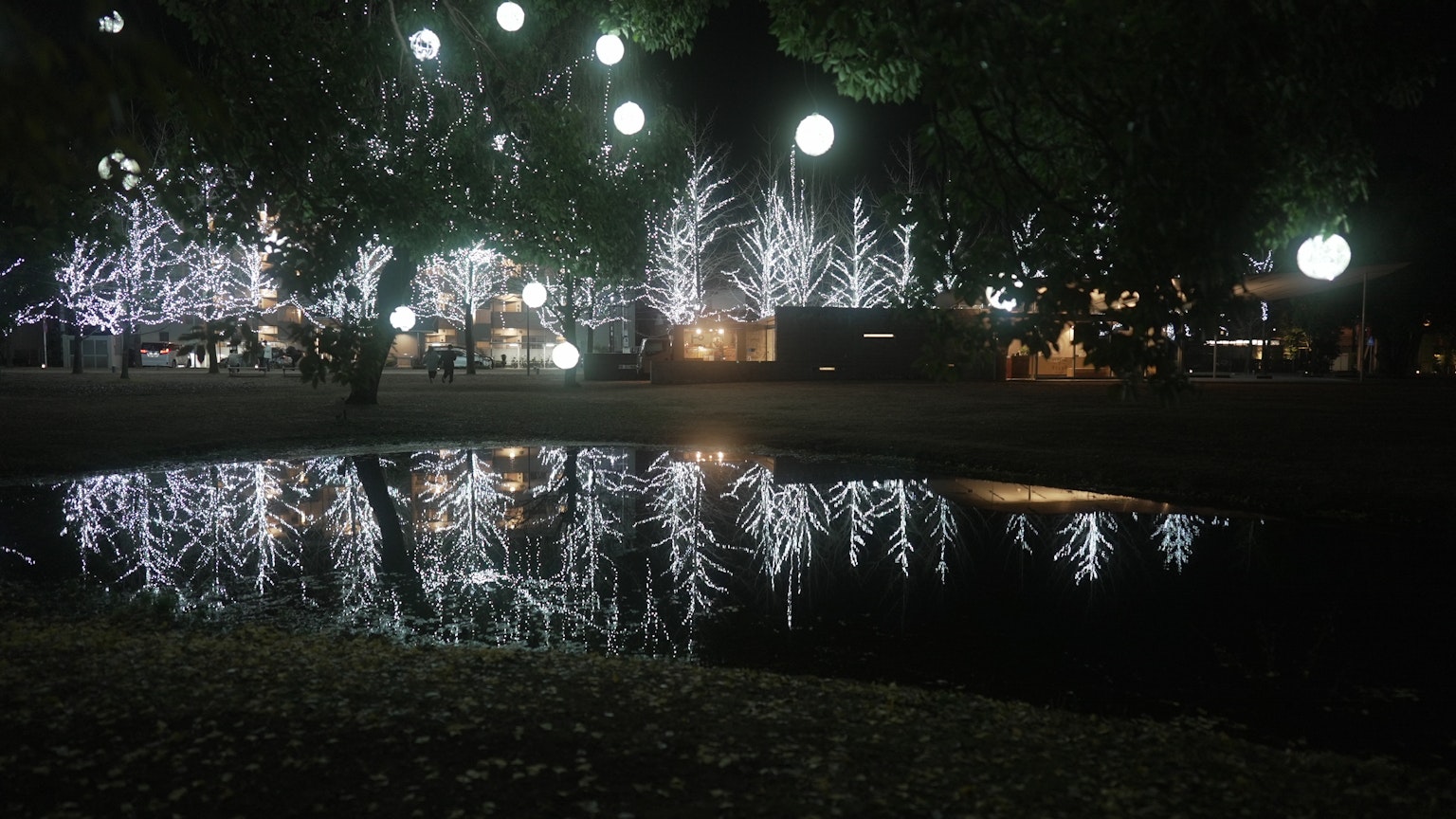 Arbres illuminés se reflétant dans l'eau la nuit dans un parc
