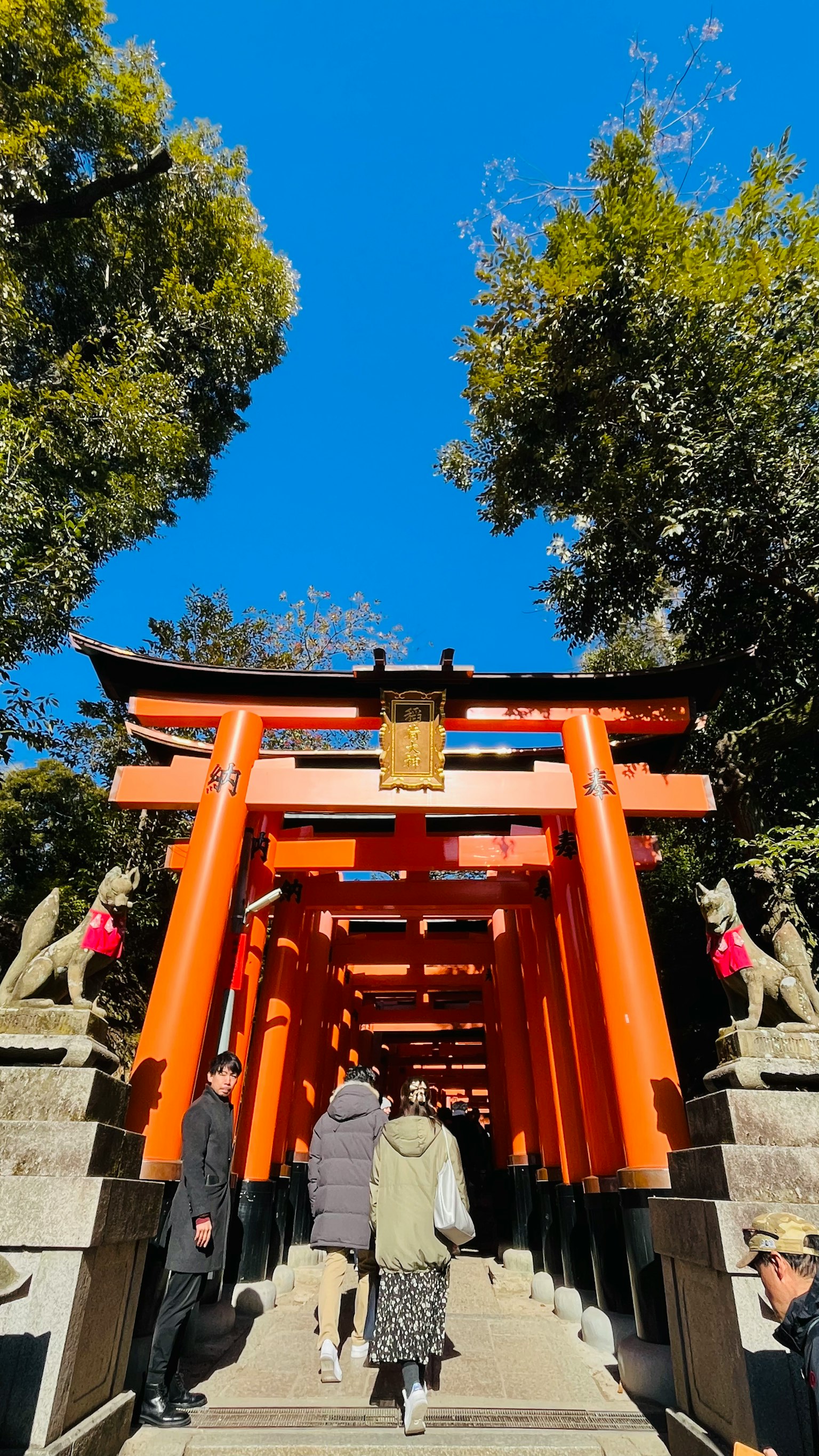 紅色鳥居和人們沿著小路走的景象