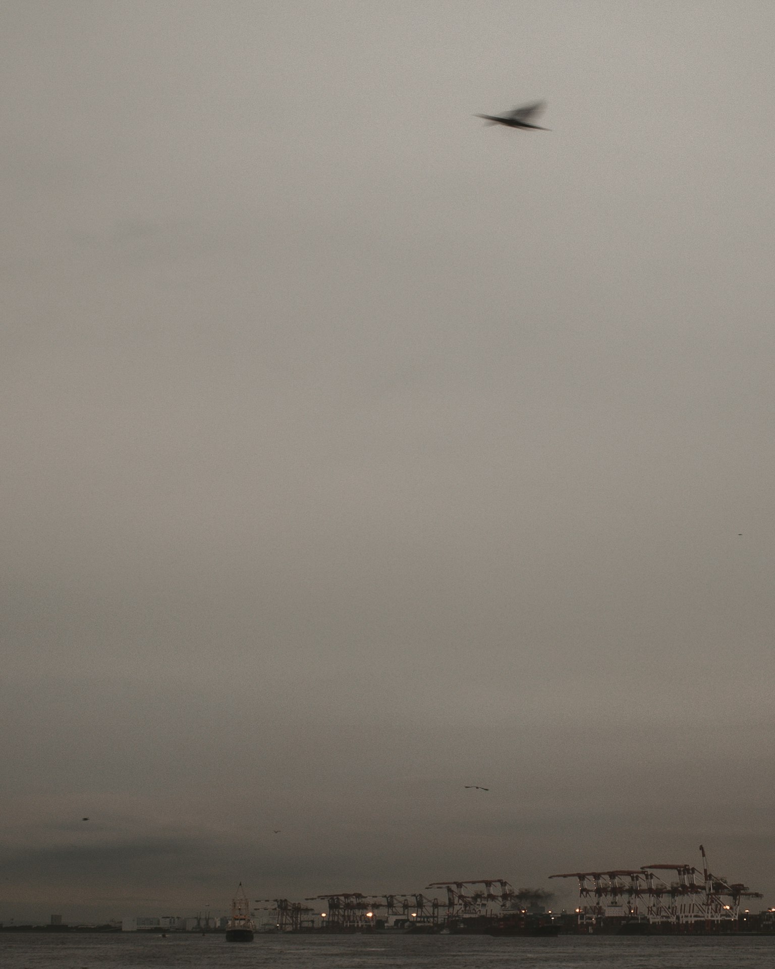 曇り空の下にある港の風景と飛行機