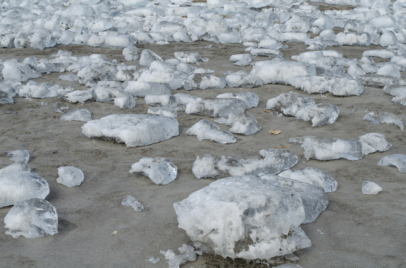 Eisstücke verstreut an einem Sandstrand