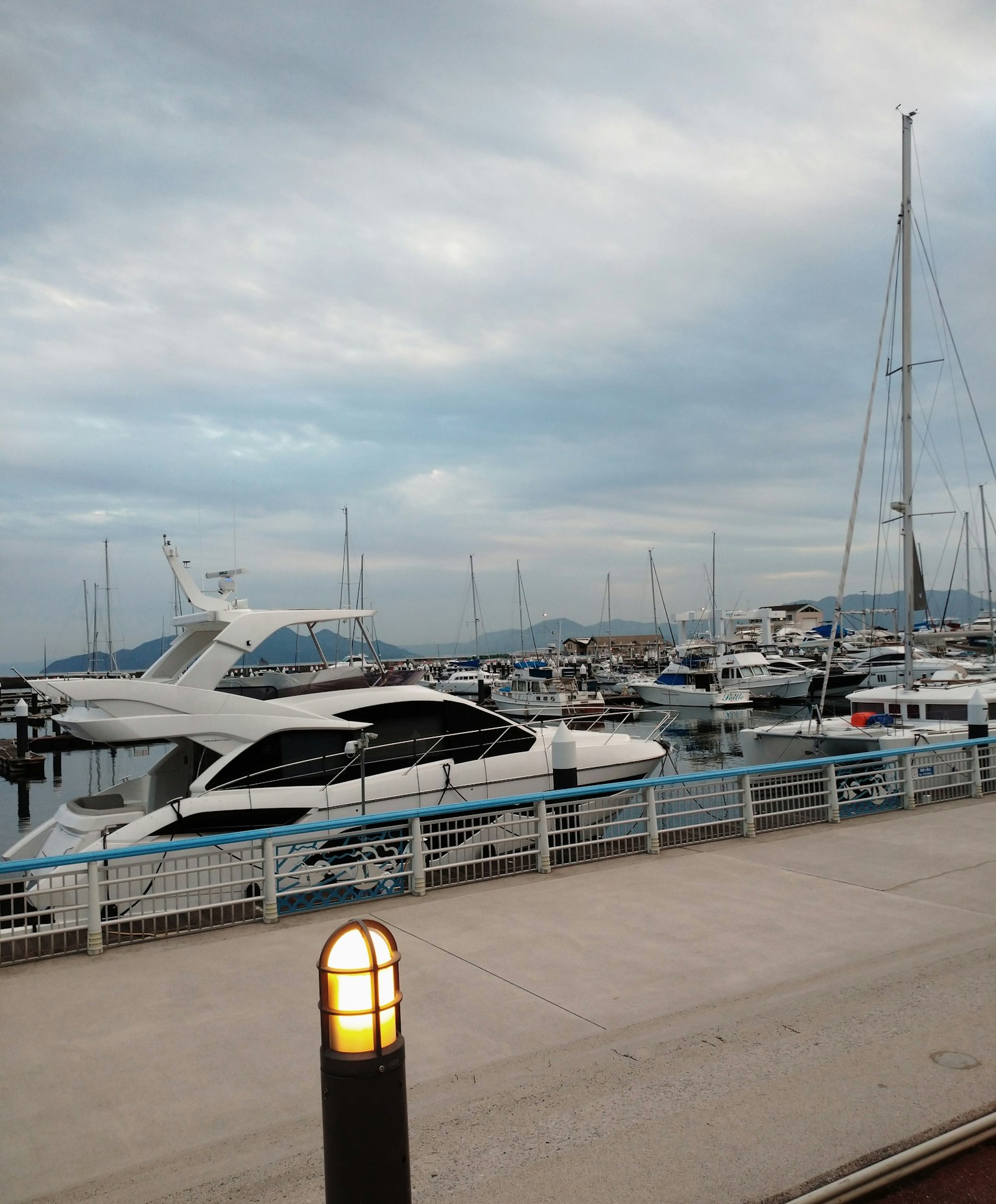 View of yachts and cruisers docked at a marina
