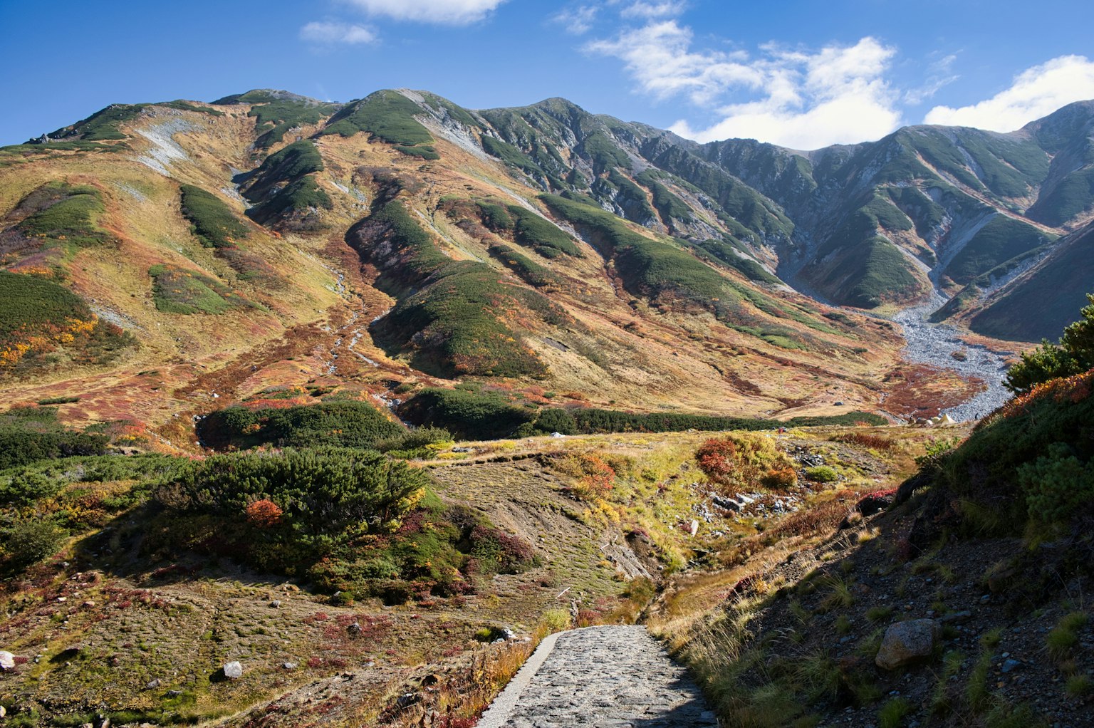 Stunning landscape featuring mountains and autumn colors