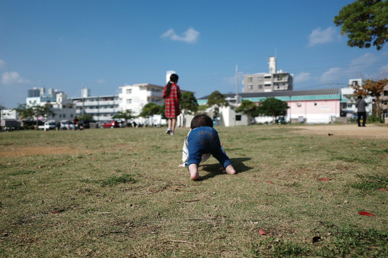 孩子在公園草地上爬行，背景有建築物