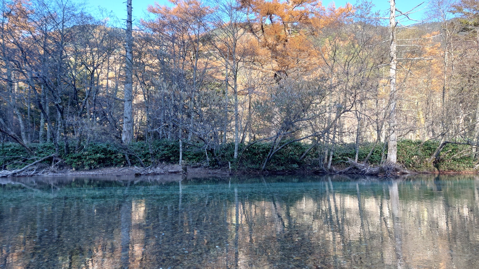 Ruhige Flusslandschaft mit Reflexionen von Herbstbäumen