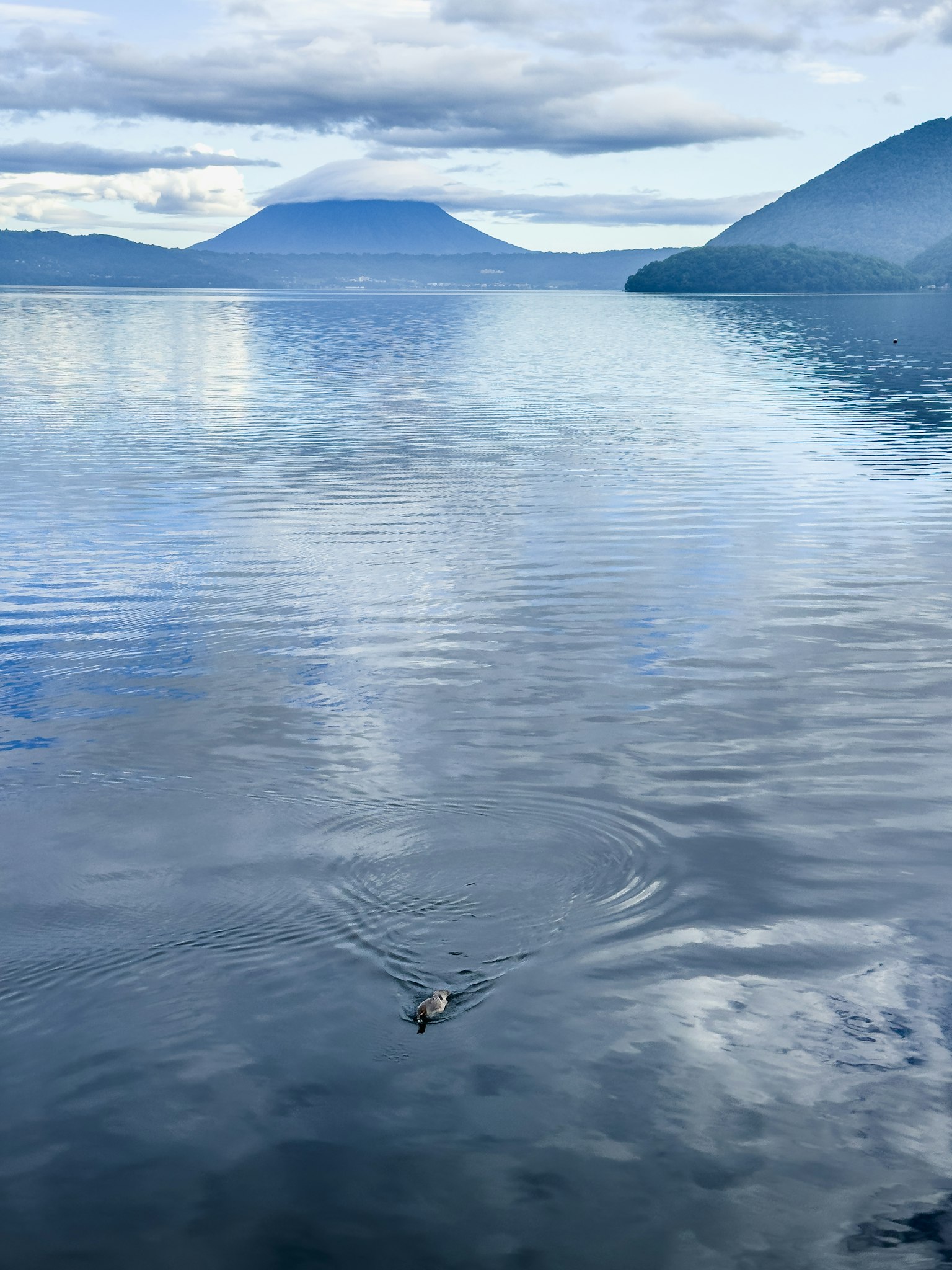 Un uccello acquatico solitario che scivola su un lago sereno con montagne circostanti
