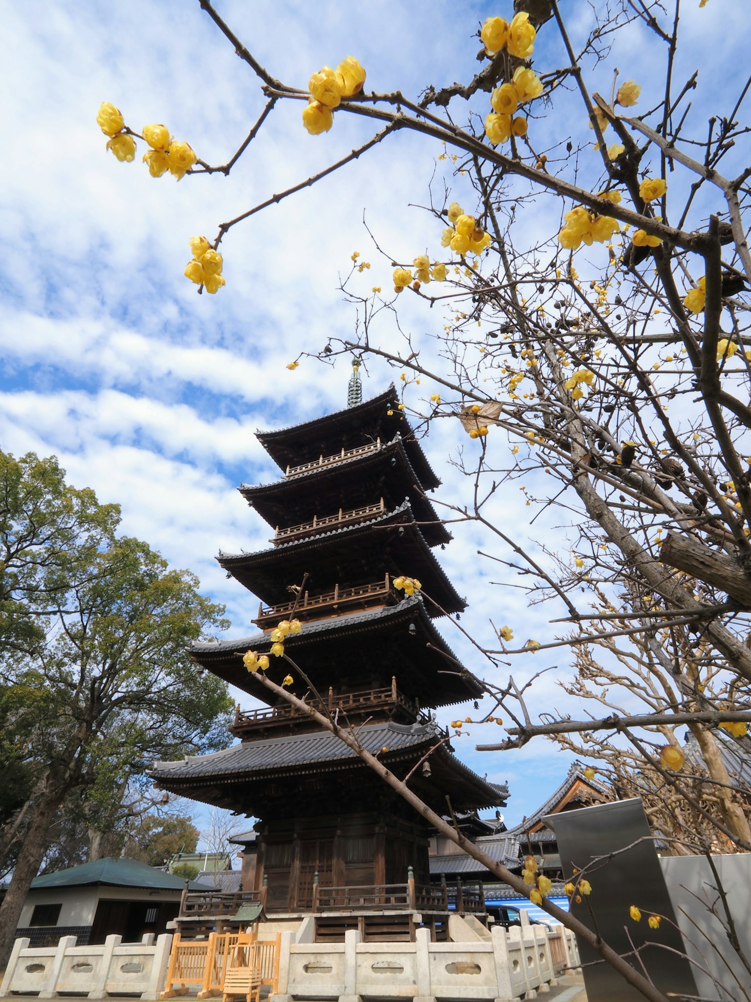 Fünfstöckige Pagode mit gelben Blumen im Vordergrund
