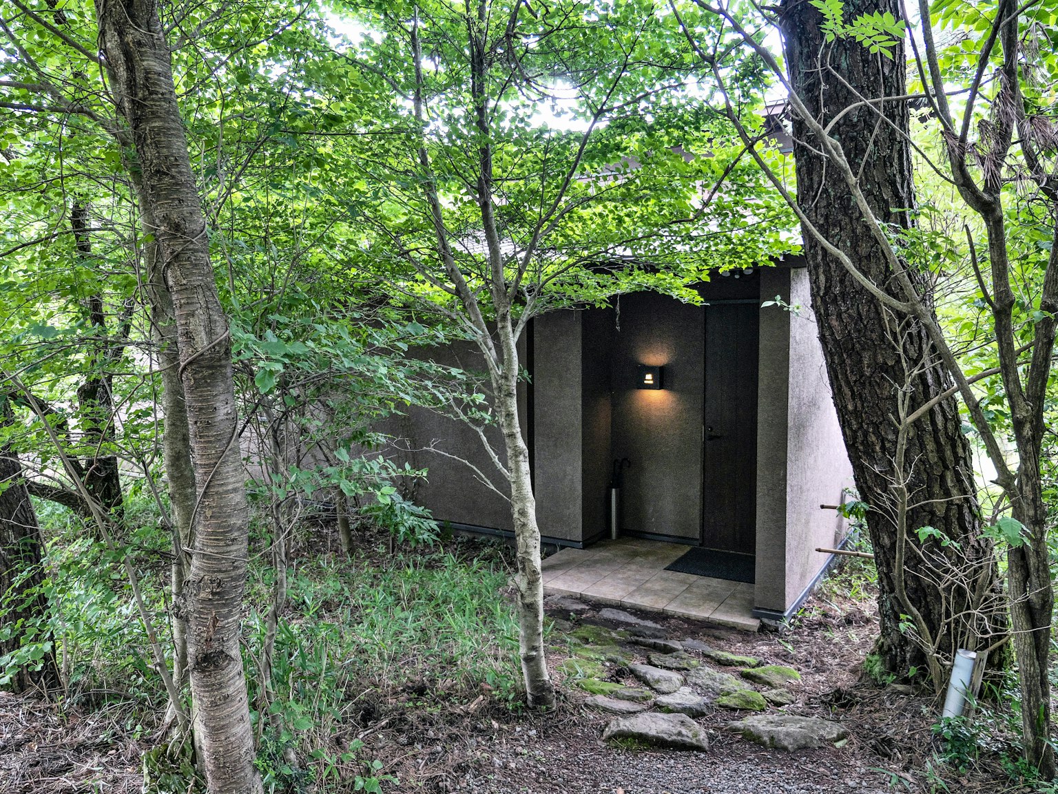Modern building entrance surrounded by lush greenery