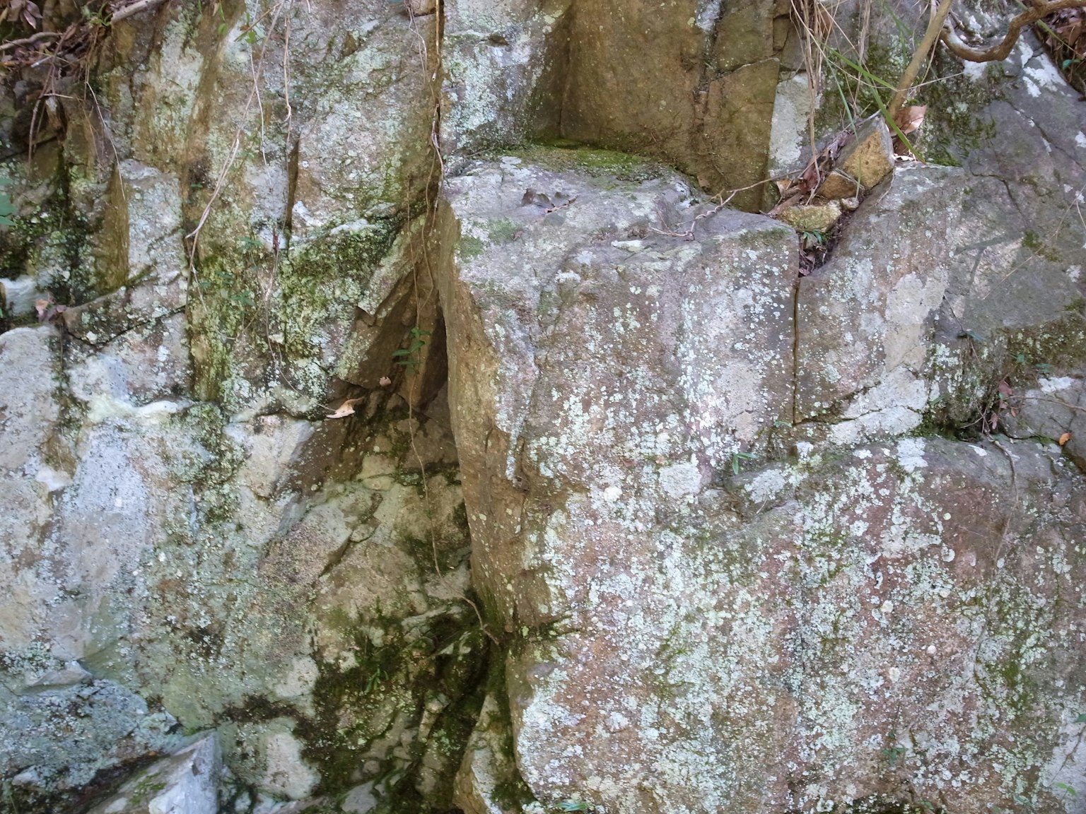 Superficie rocciosa naturale coperta di muschio e licheni