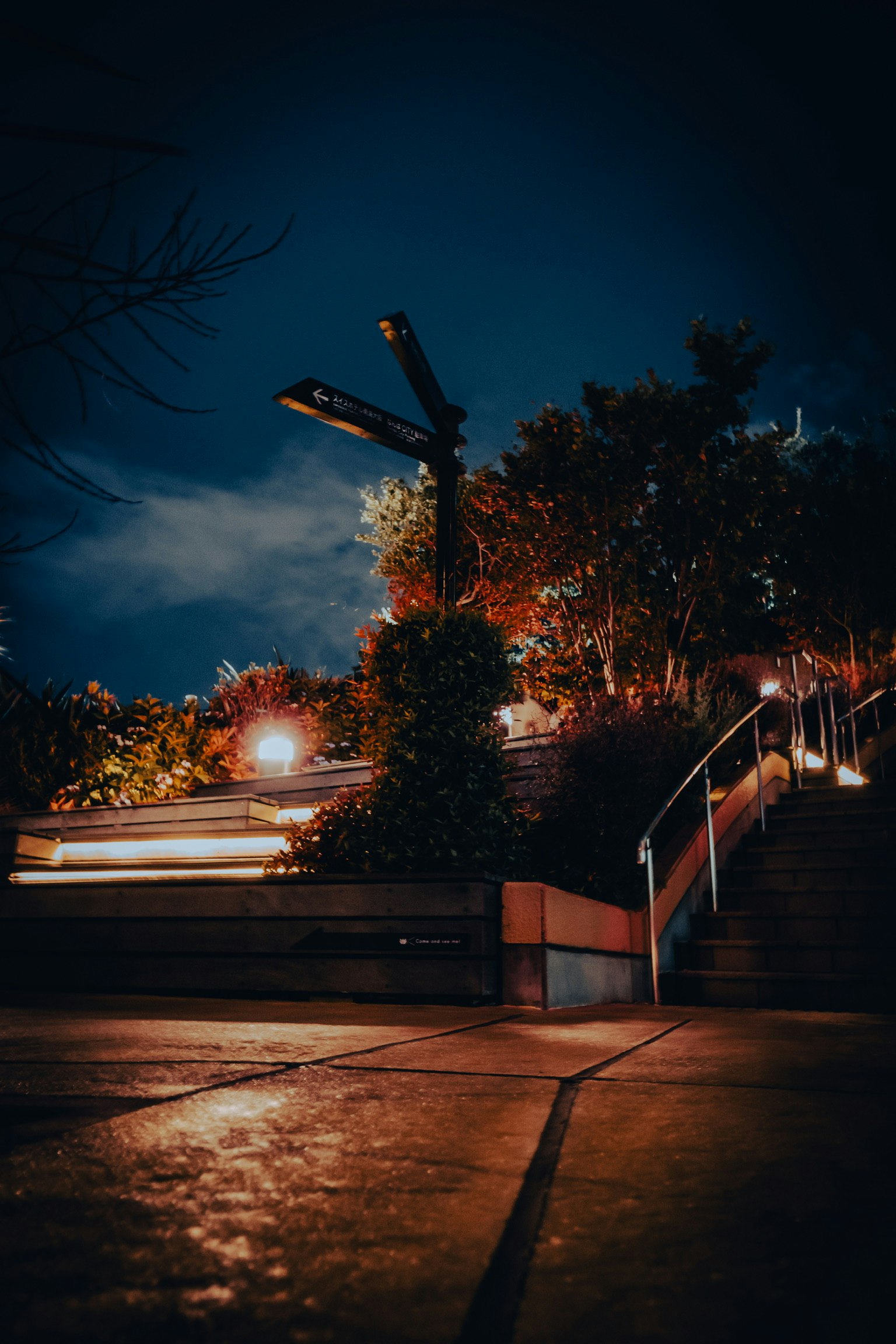 Night scene of park stairs and streetlights