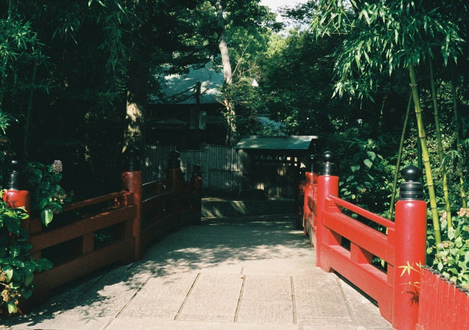 Vista panoramica di un ponte rosso in un giardino lussureggiante