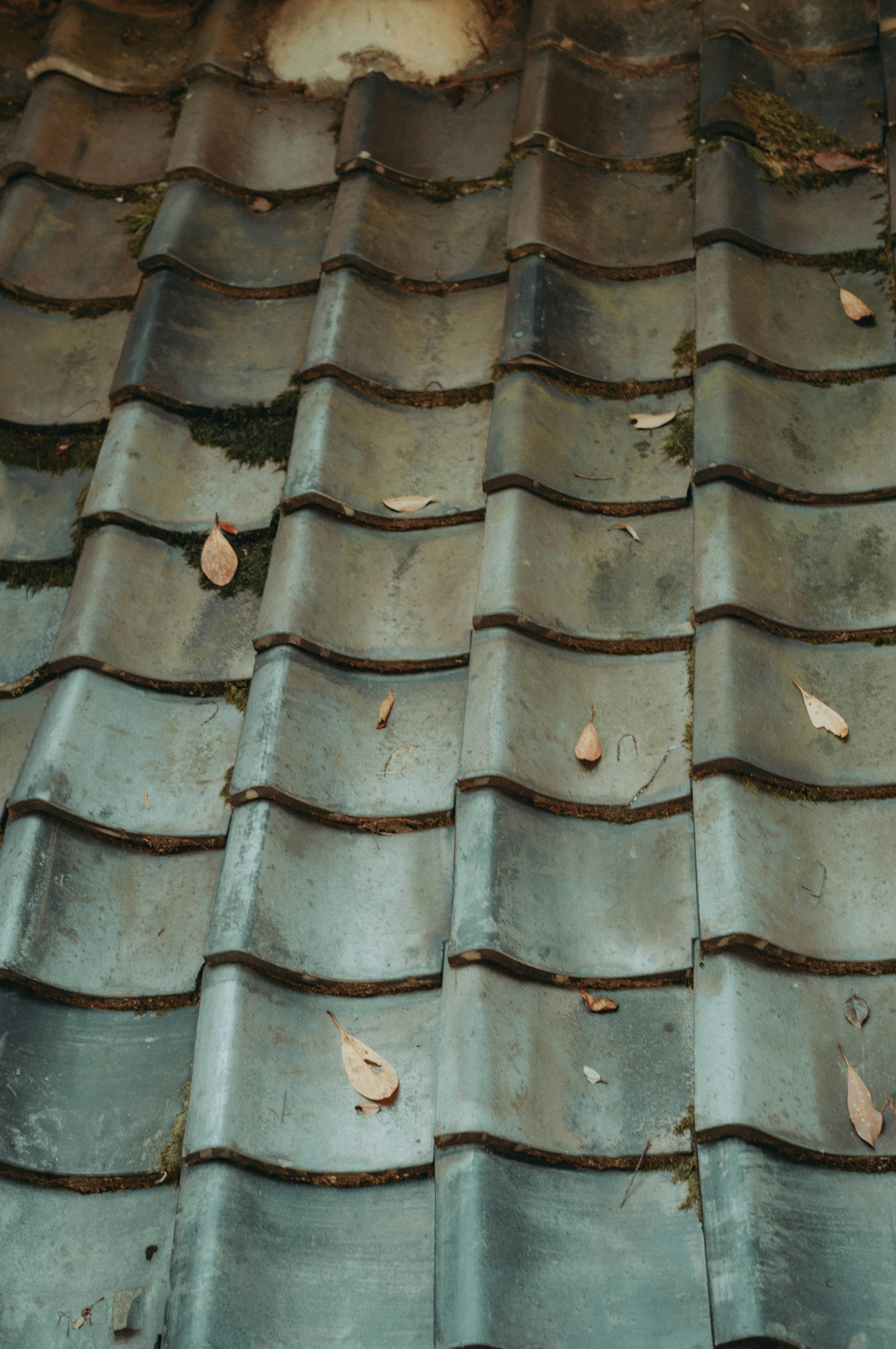 bronze-green tiled roof with scattered fallen leaves