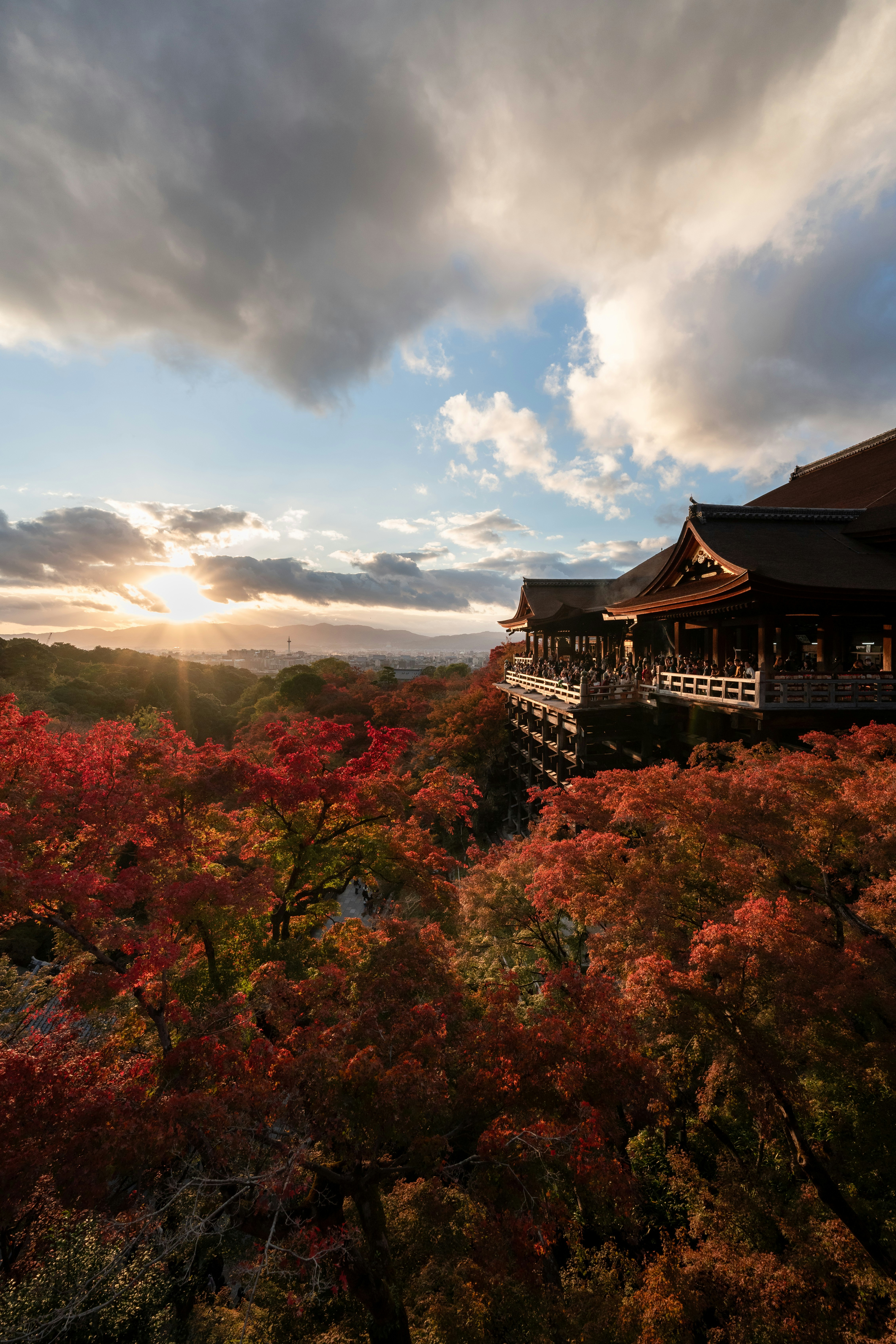傳統日本建築周圍環繞著生動的秋天樹葉和日落的風景