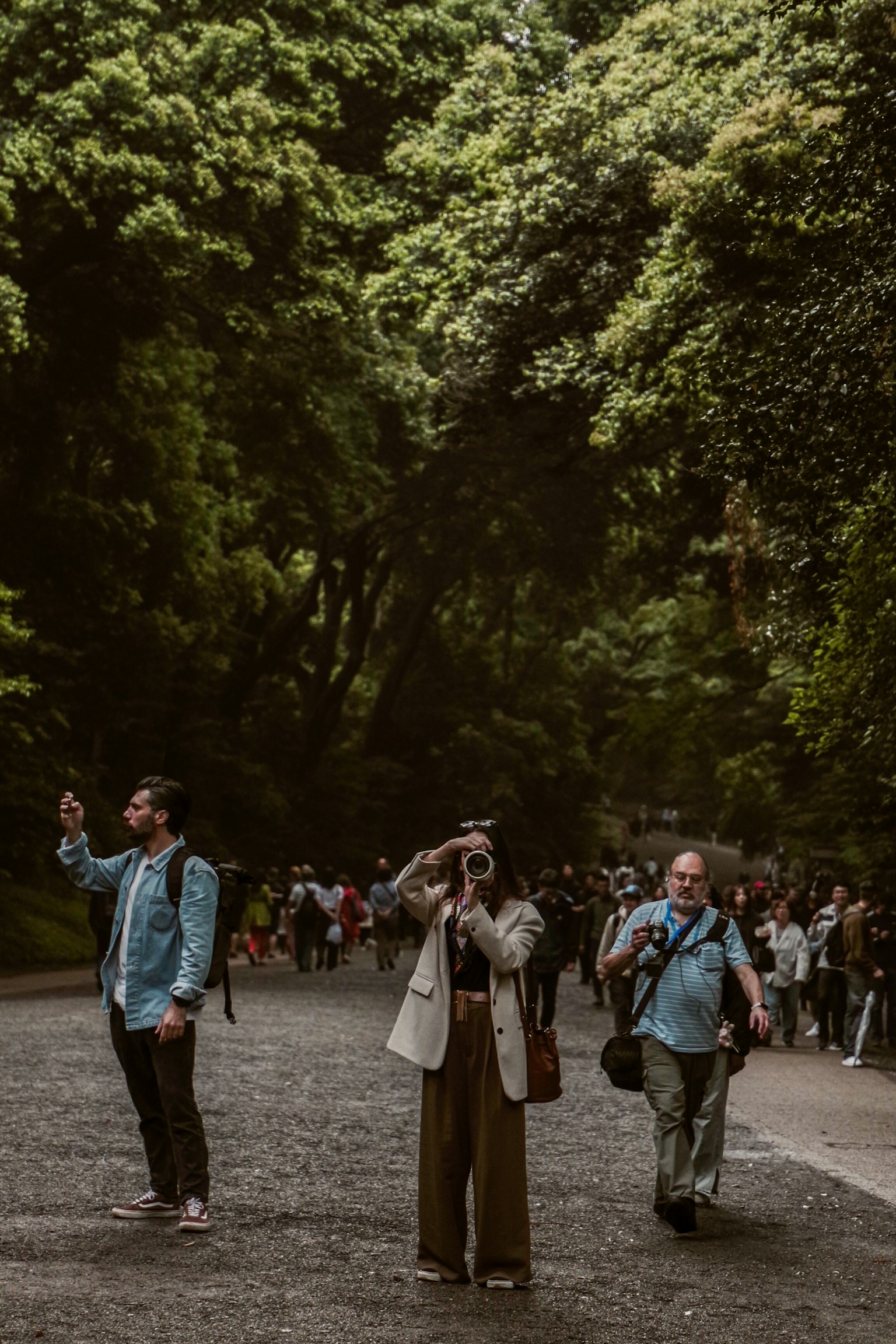 Des touristes se promenant dans un parc verdoyant avec des arbres et un chemin en pavés