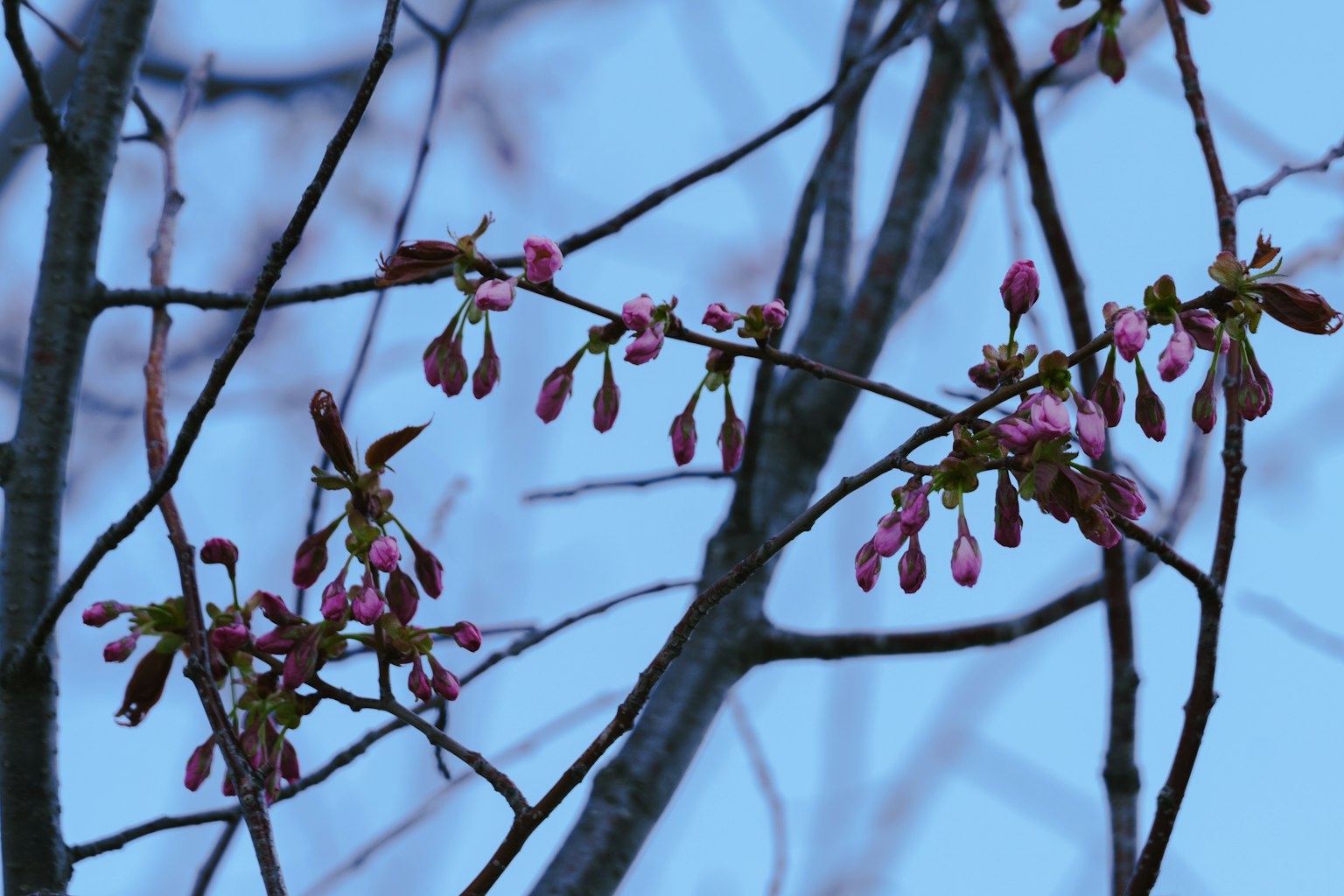 photo-I7PwZ8tUu9OL8L4Q4kGi-image