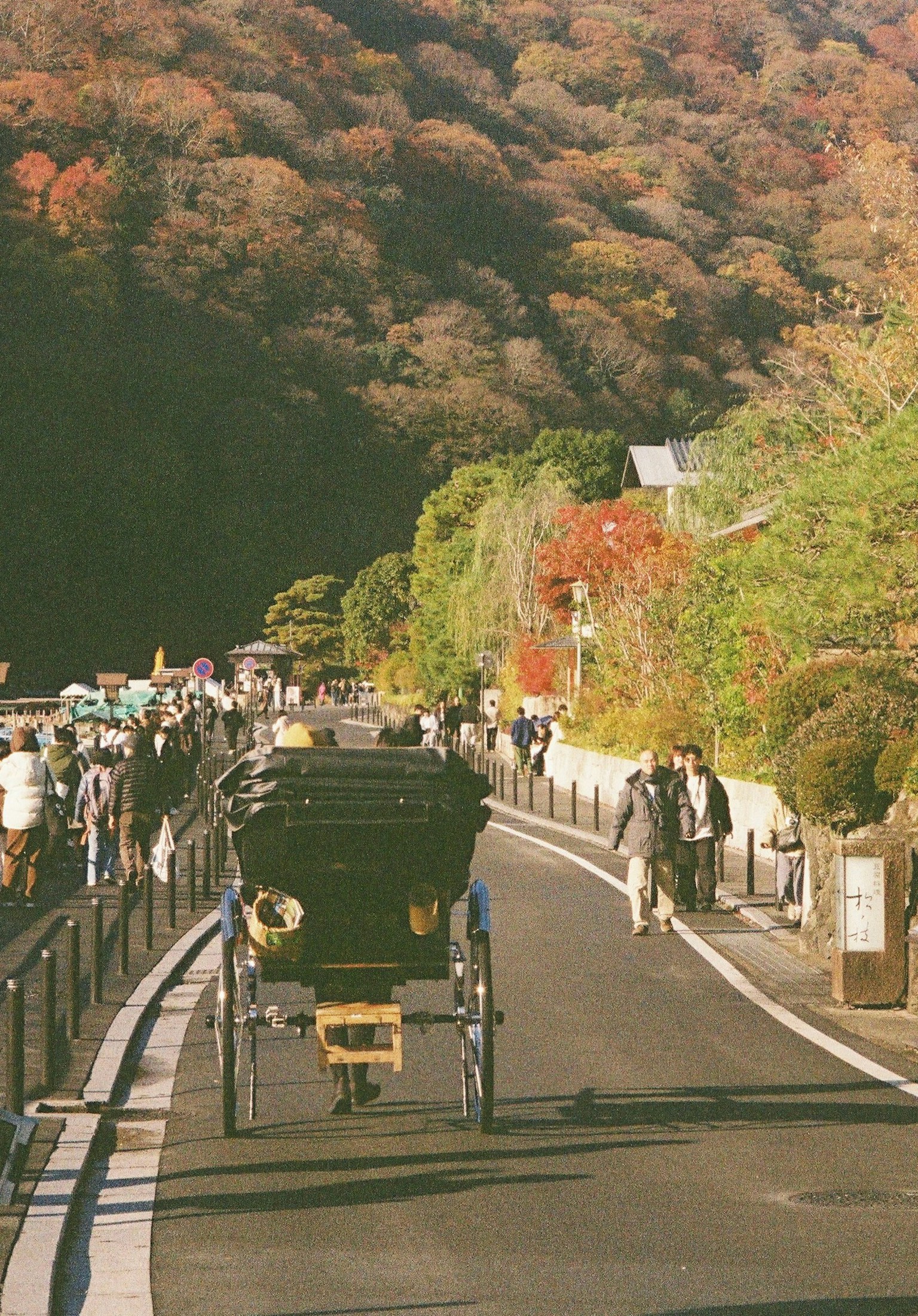 photo-I7X6n4nPYnKMr5obuYSm-image
