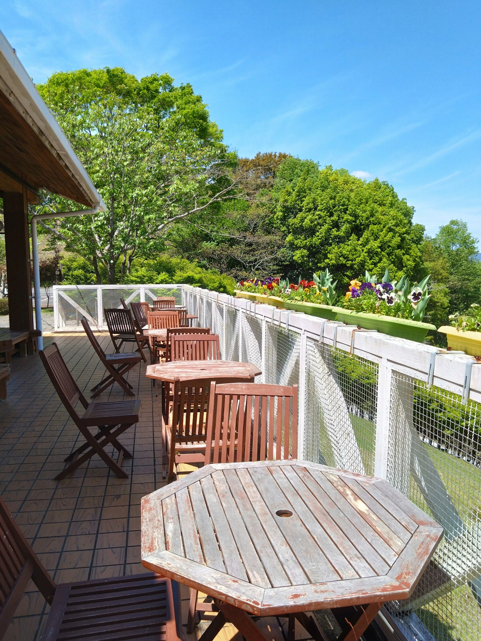Vista dal balcone con tavoli e sedie in legno alberi verdi sullo sfondo