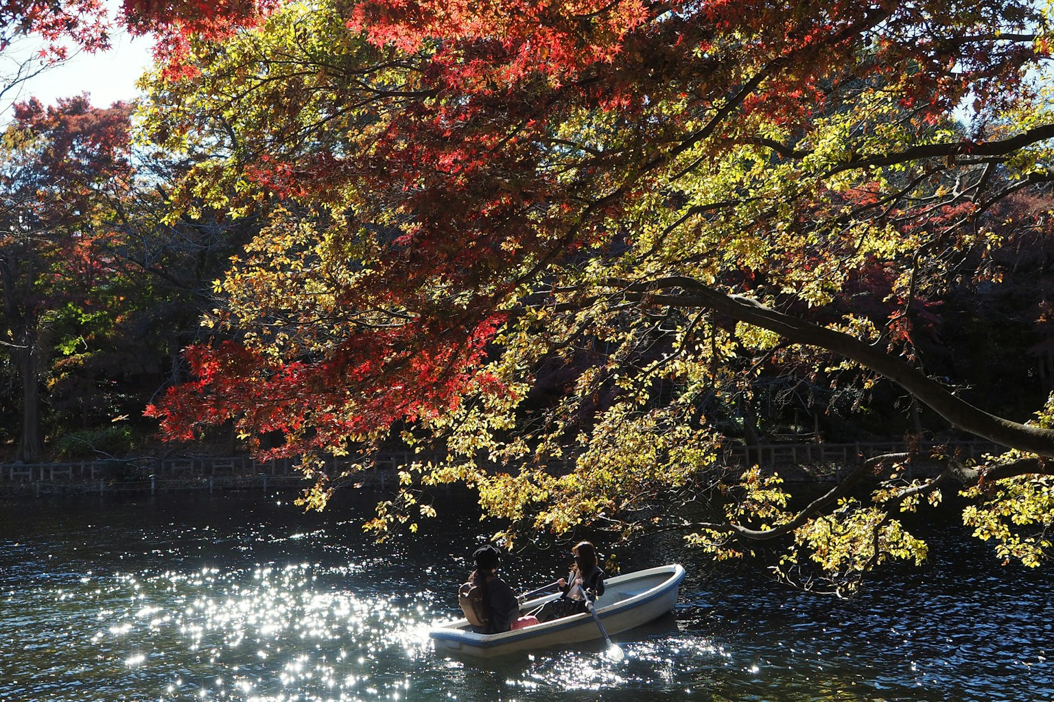 Szene mit zwei Personen in einem Boot auf einem Fluss umgeben von Herbstlaub