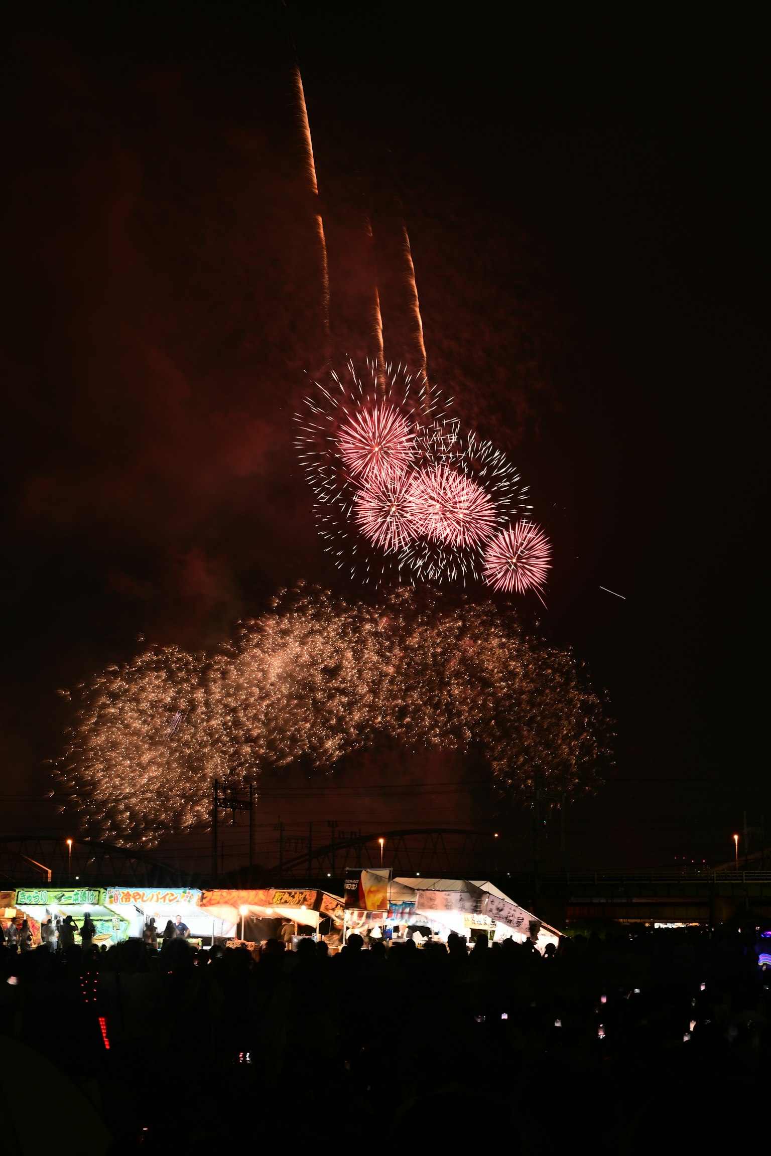 Spectacle de feux d'artifice vibrant illuminant le ciel nocturne avec des éclats colorés et des formes