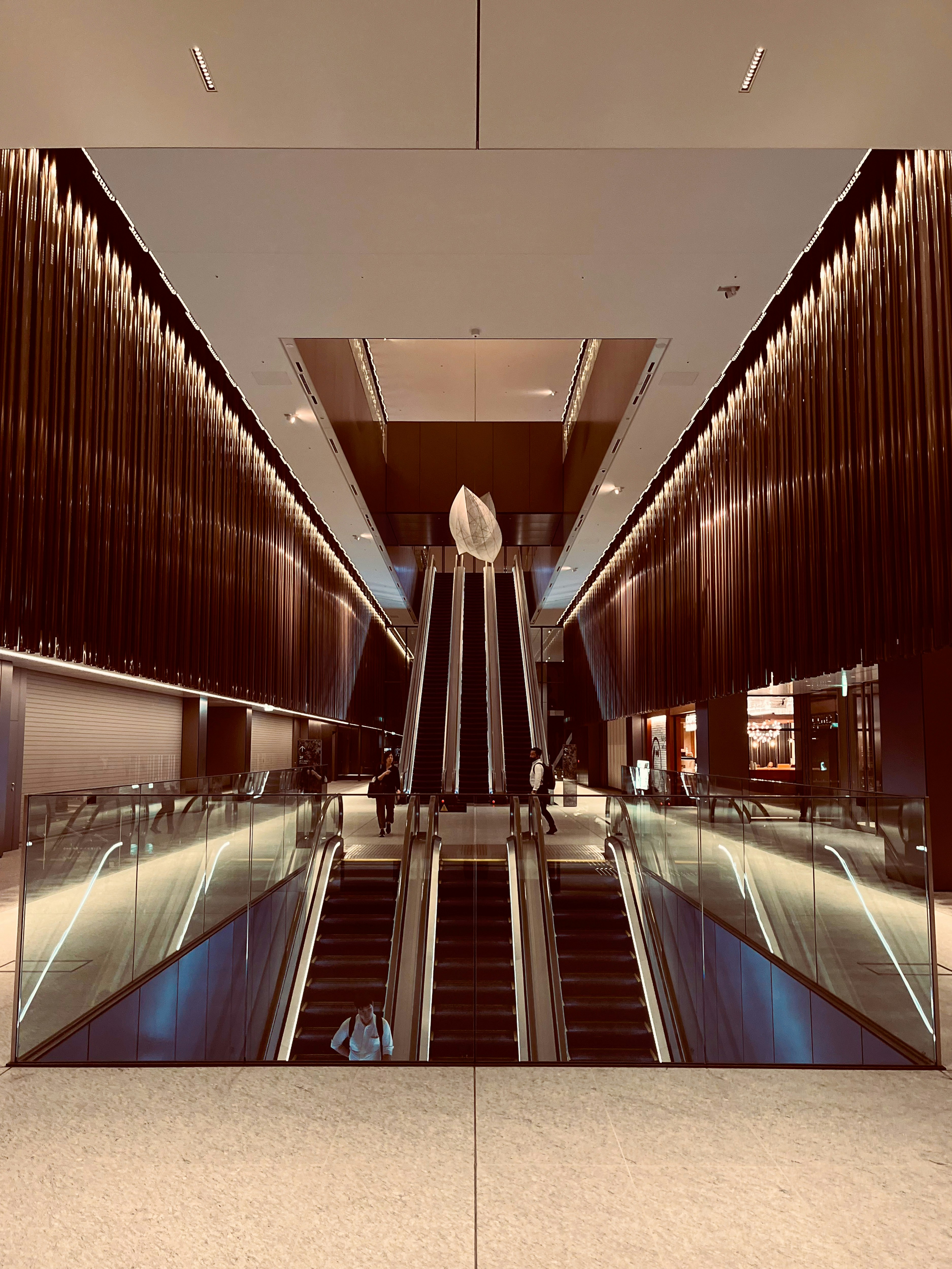 ทางเดินยาวที่มีชั้นวางไม้เรียงรายและเงาสะท้อนบนพื้น